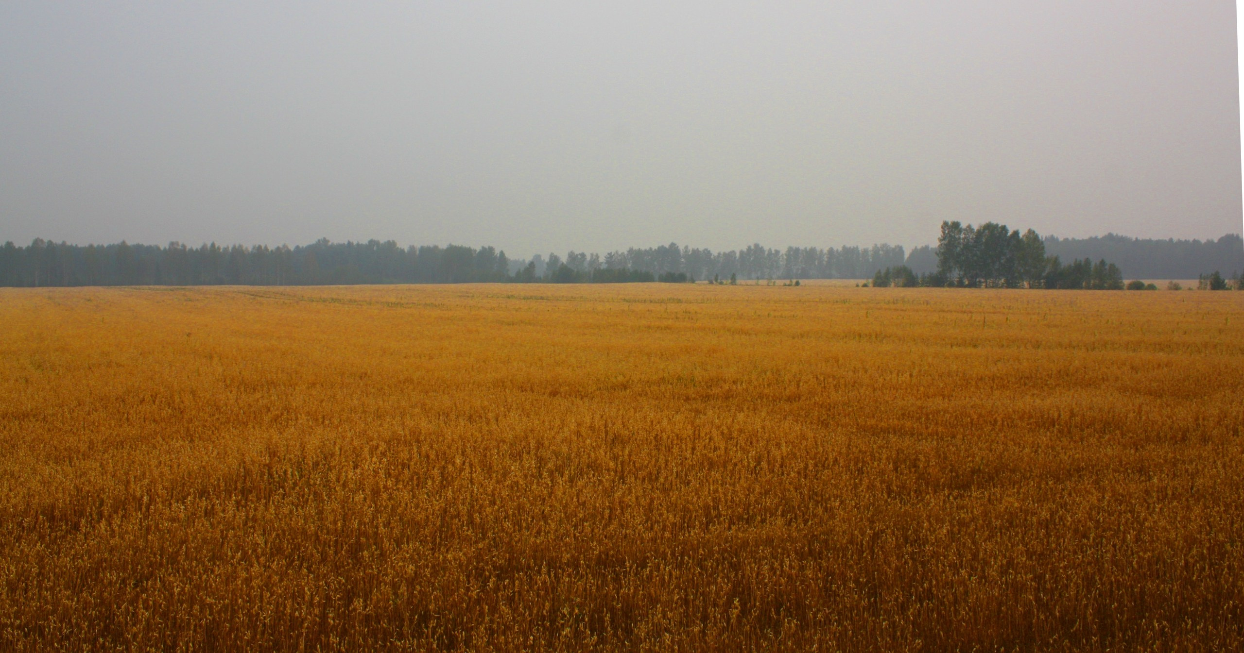 Русская деревня. Детский и семейный фотограф, фотограф мероприятий Нижний Новгород
