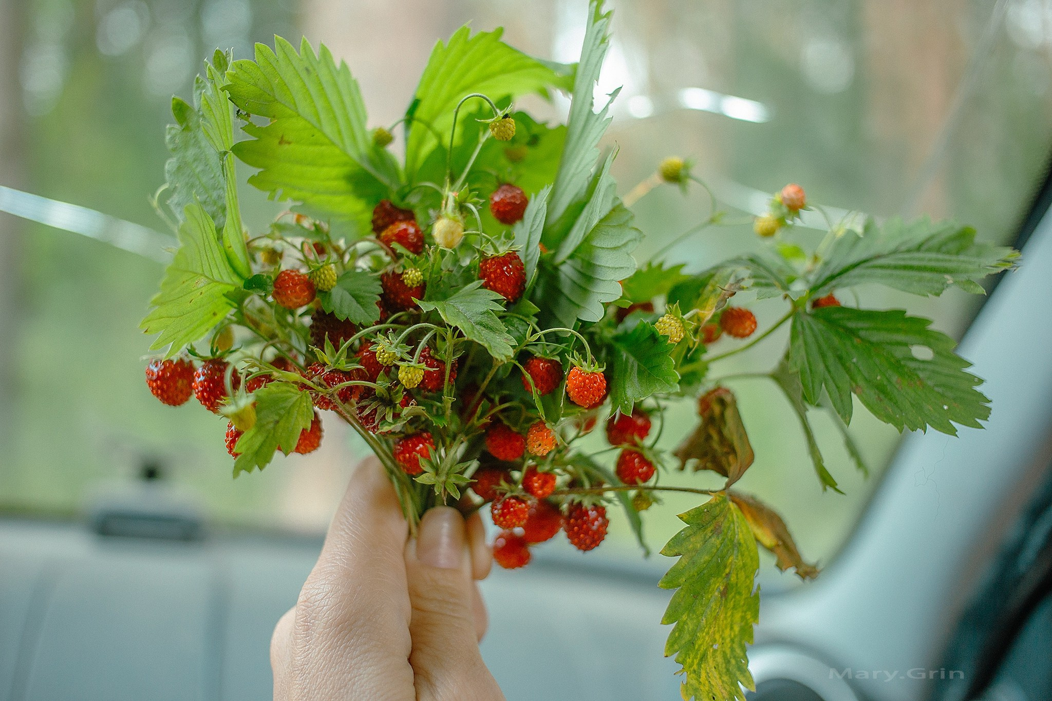 Русская деревня. Детский и семейный фотограф, фотограф мероприятий Нижний Новгород