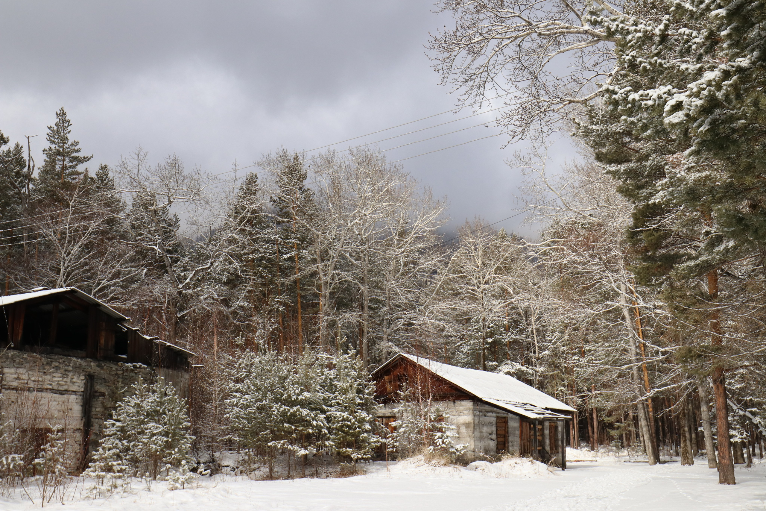 Аршан. Март 2023. Путешественник-фотограф из Санкт-Петербурга Татьяна Свистулина