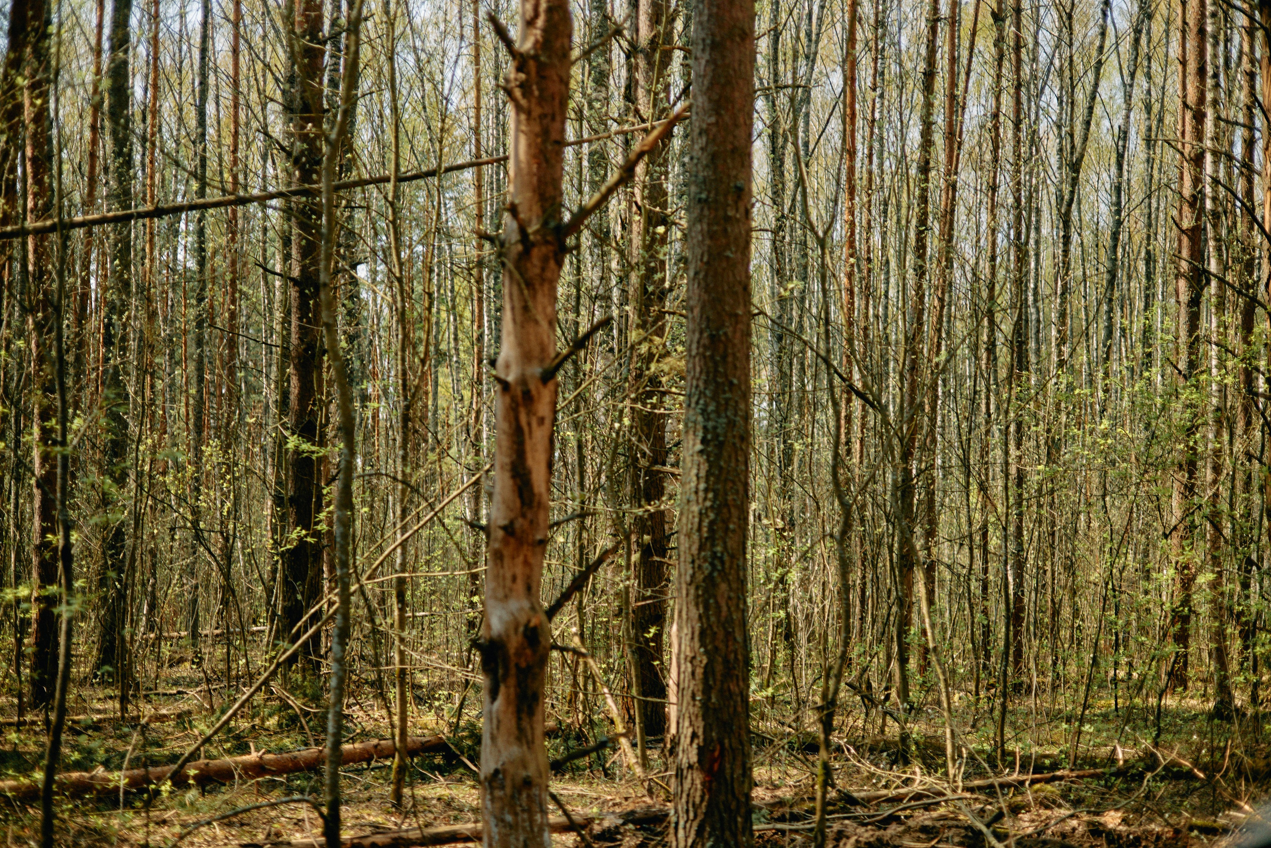 Бутик-отель Поле летом. Профессиональный Фотограф во Владимире, в Москве и в Суздале — Полина Романычева