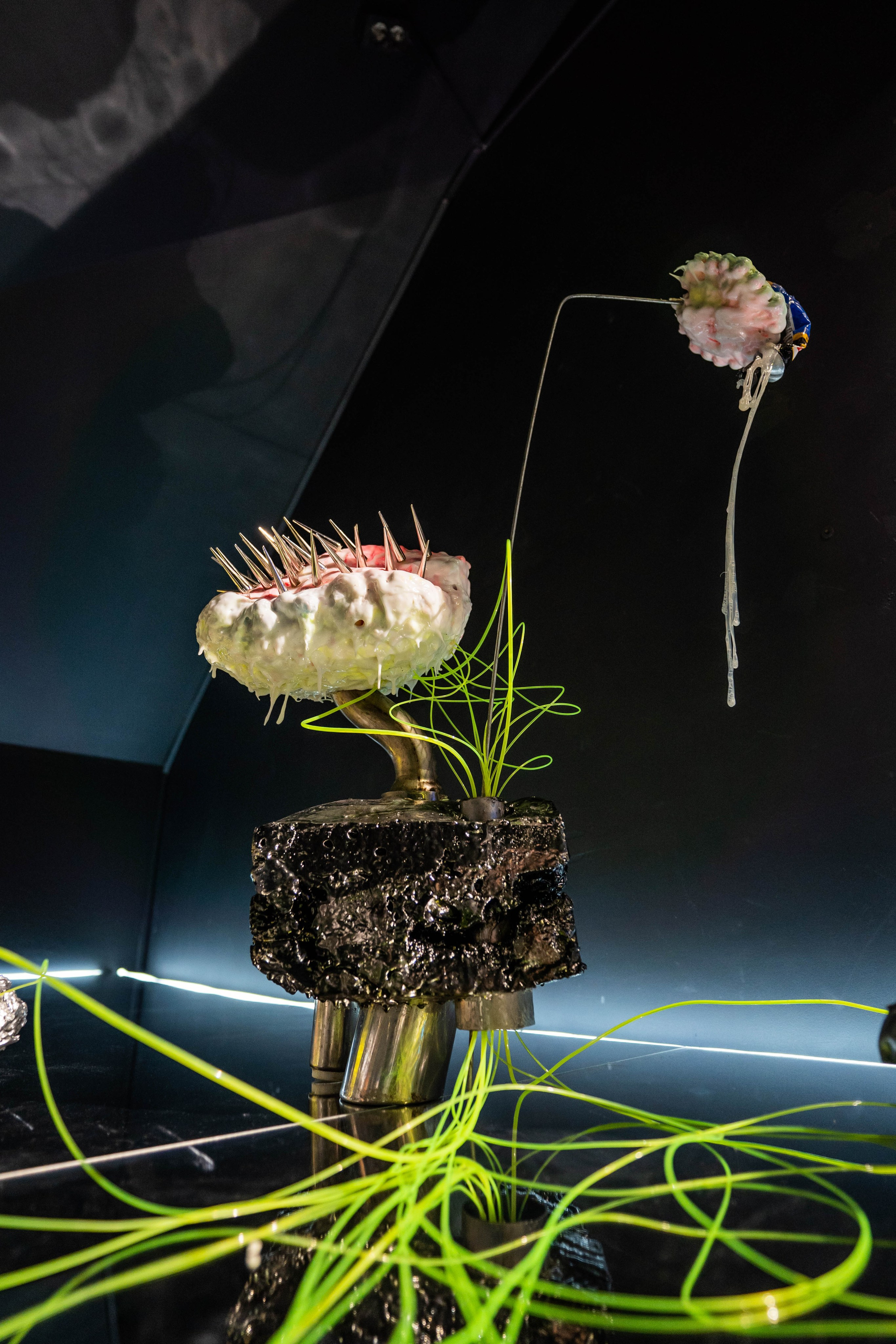 MARS. Фотограф Абакумова Анастасия