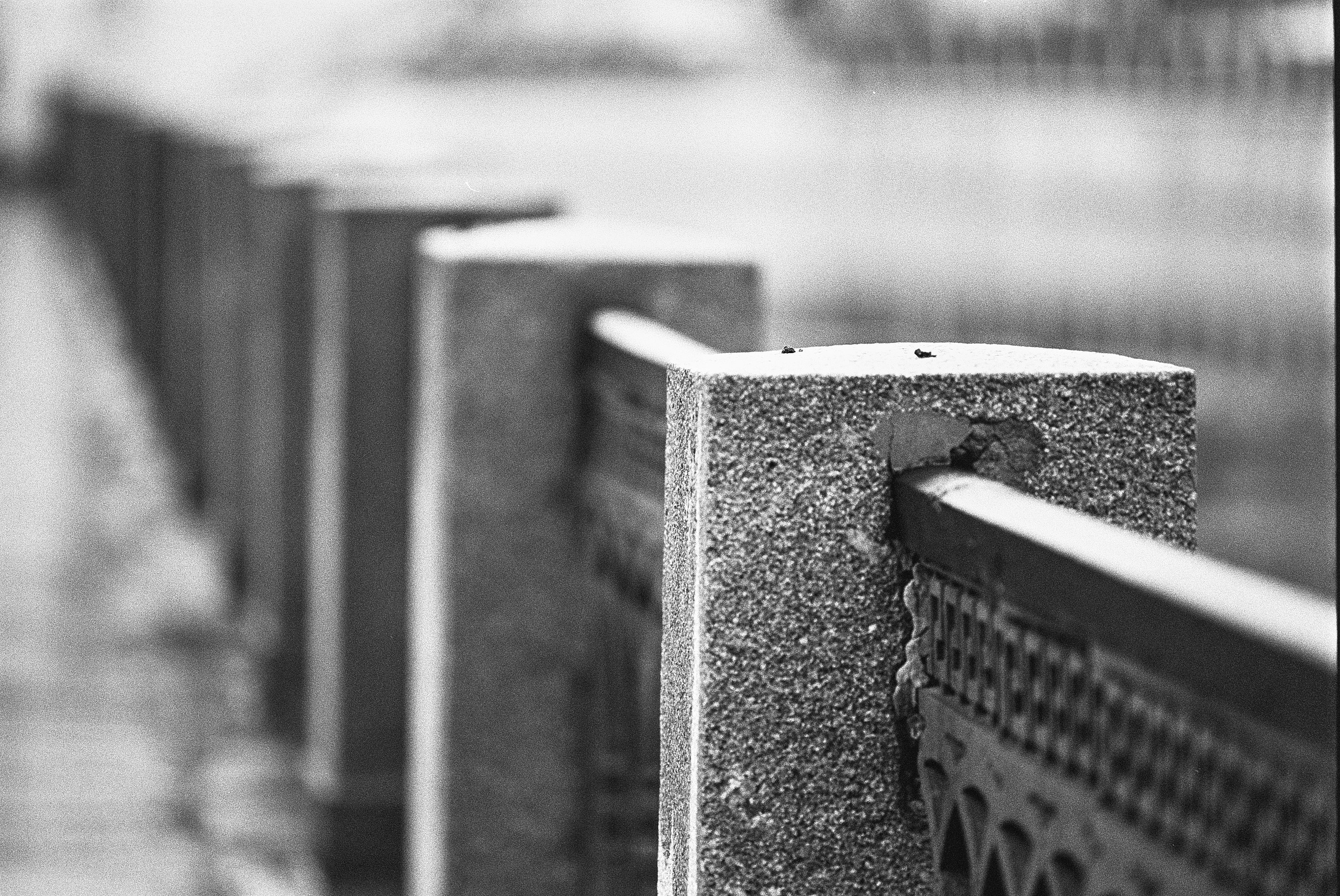 Фотосессии на пленочный фотоаппарат Nikon F6