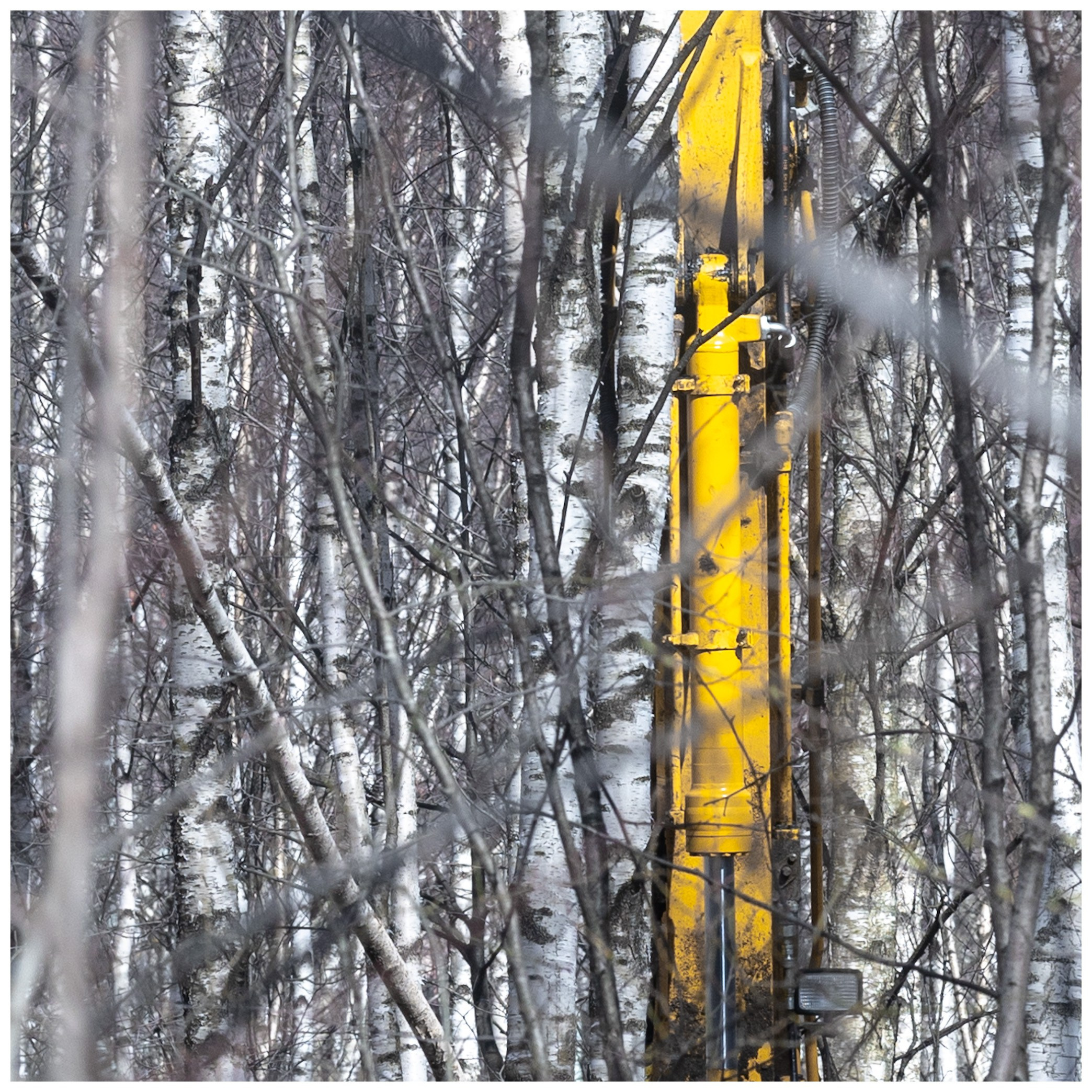 Spring. Photo project