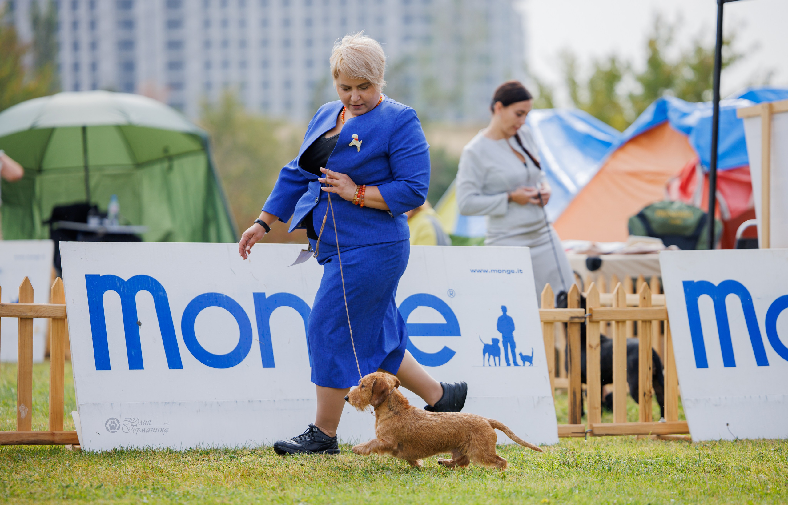 Армения,Ереван 3хCACIB 15-17.10.2024. Фотограф-анималист Юлия Германика