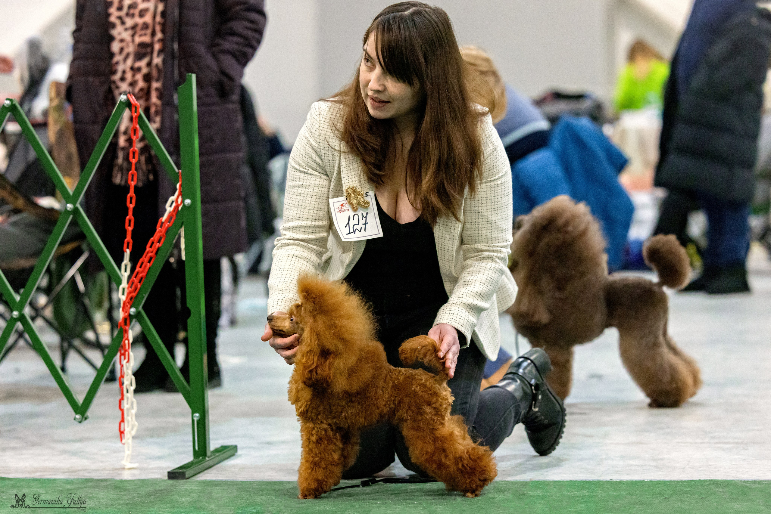 Крокус 3,9 и 10.12.2023. Фотограф-анималист Юлия Германика