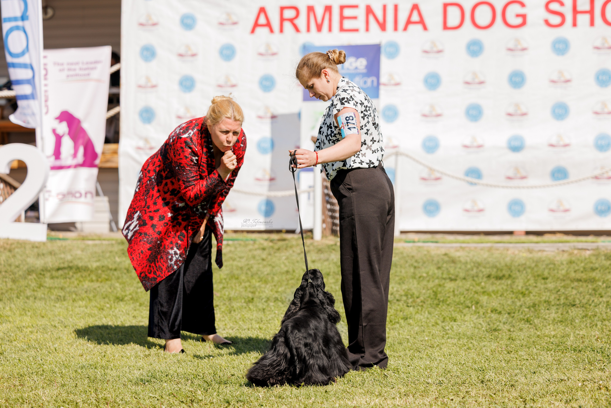 Ереван 14-16.10.2025. Фотограф-анималист Юлия Германика