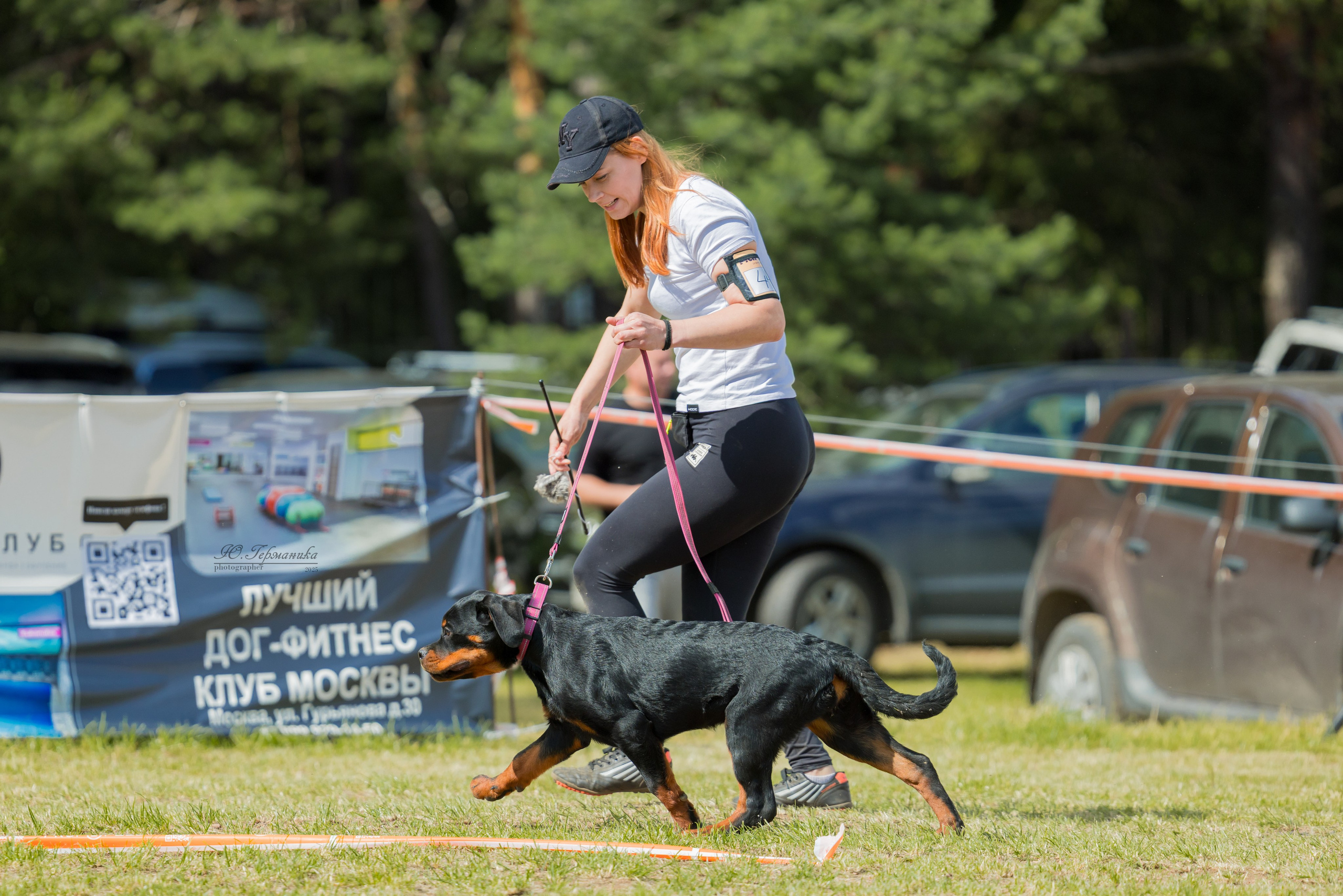 Тверь ротвейлеры 5-6.07.2025. Фотограф-анималист Юлия Германика