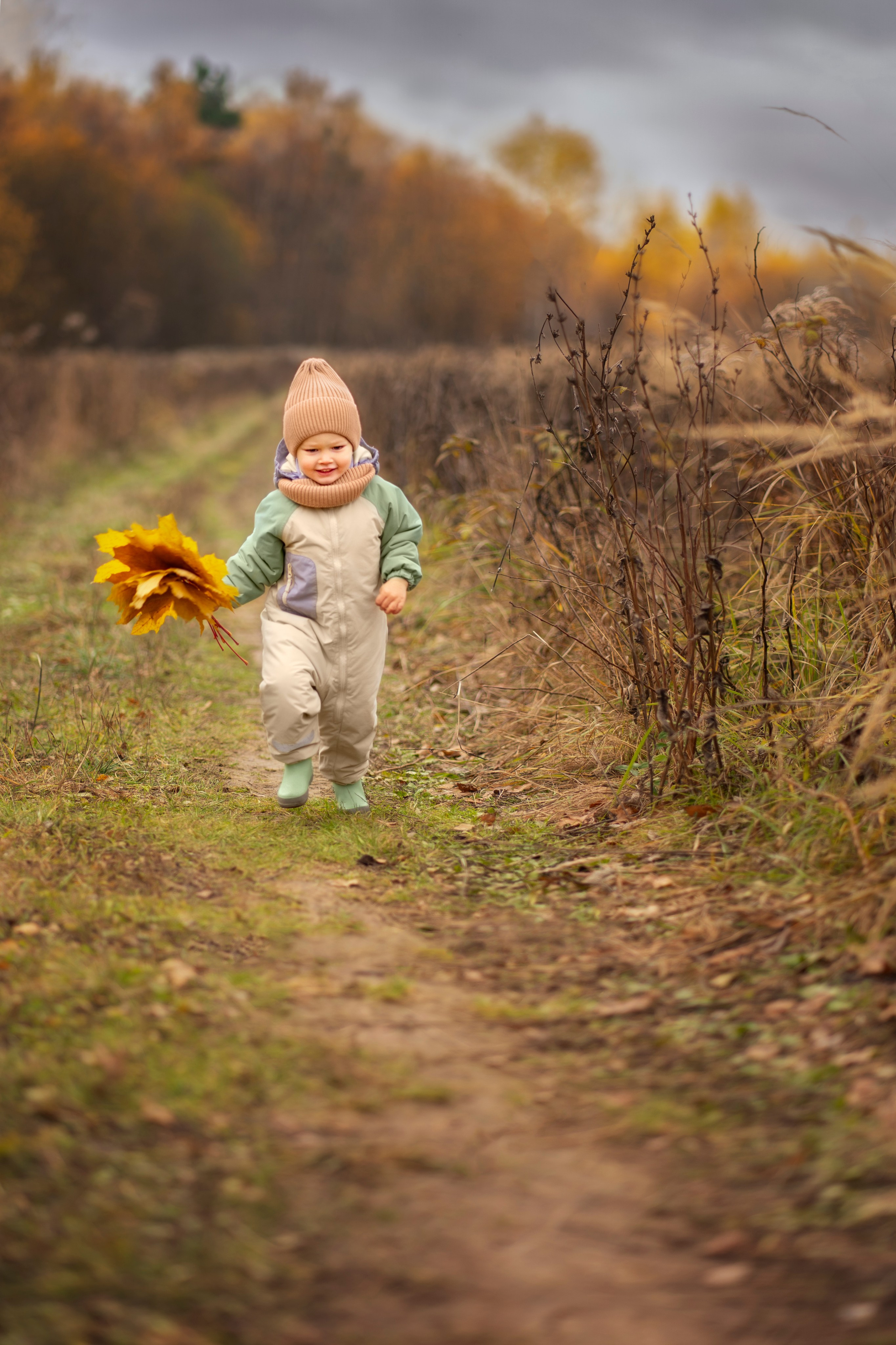 Фотоистория «Золотая осень». Семейный и детский фотограф Фрязино, Щелково Юлия Март