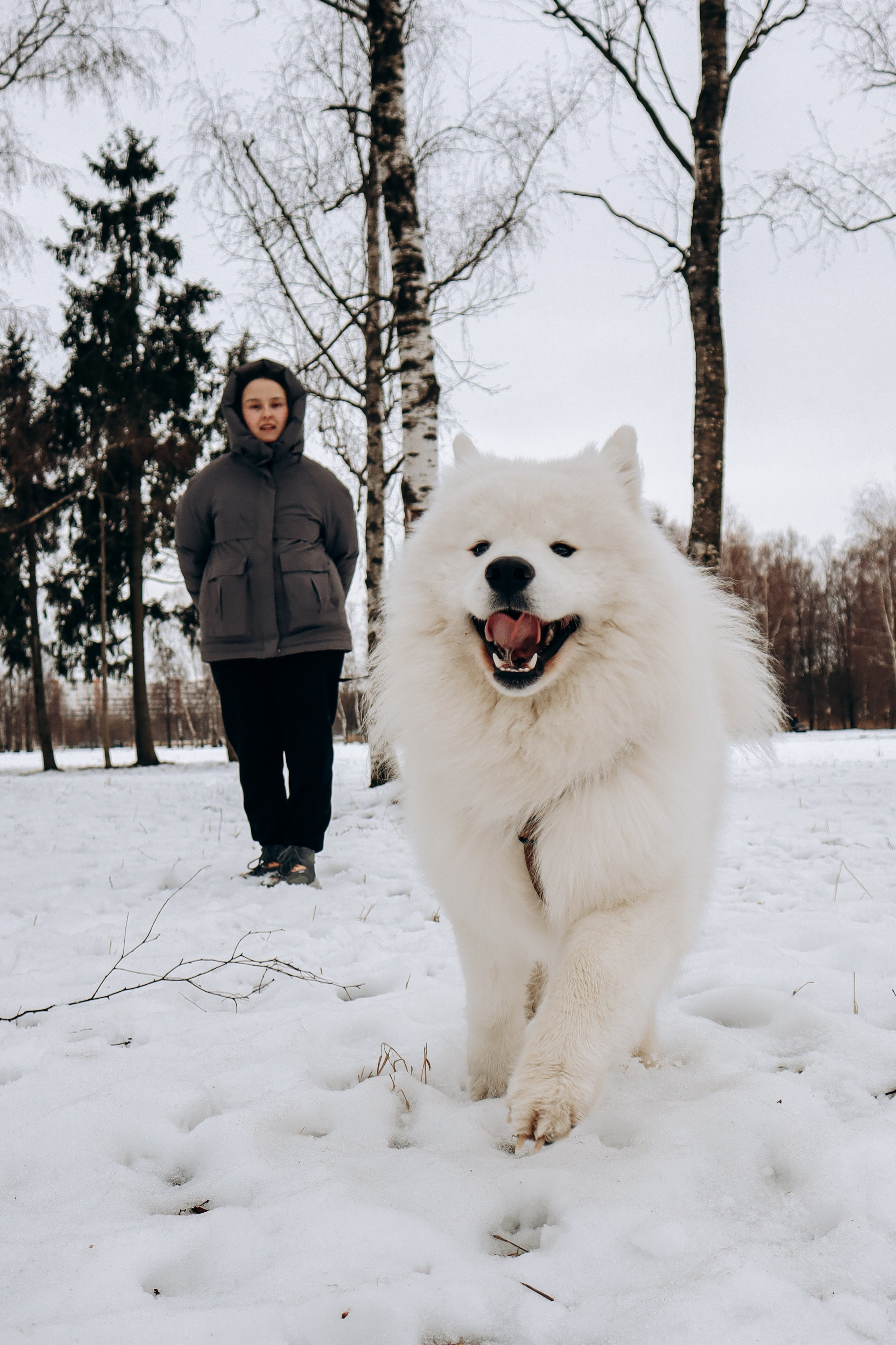 Даша и Локи. Фотограф-анималист в Санкт-Петербурге