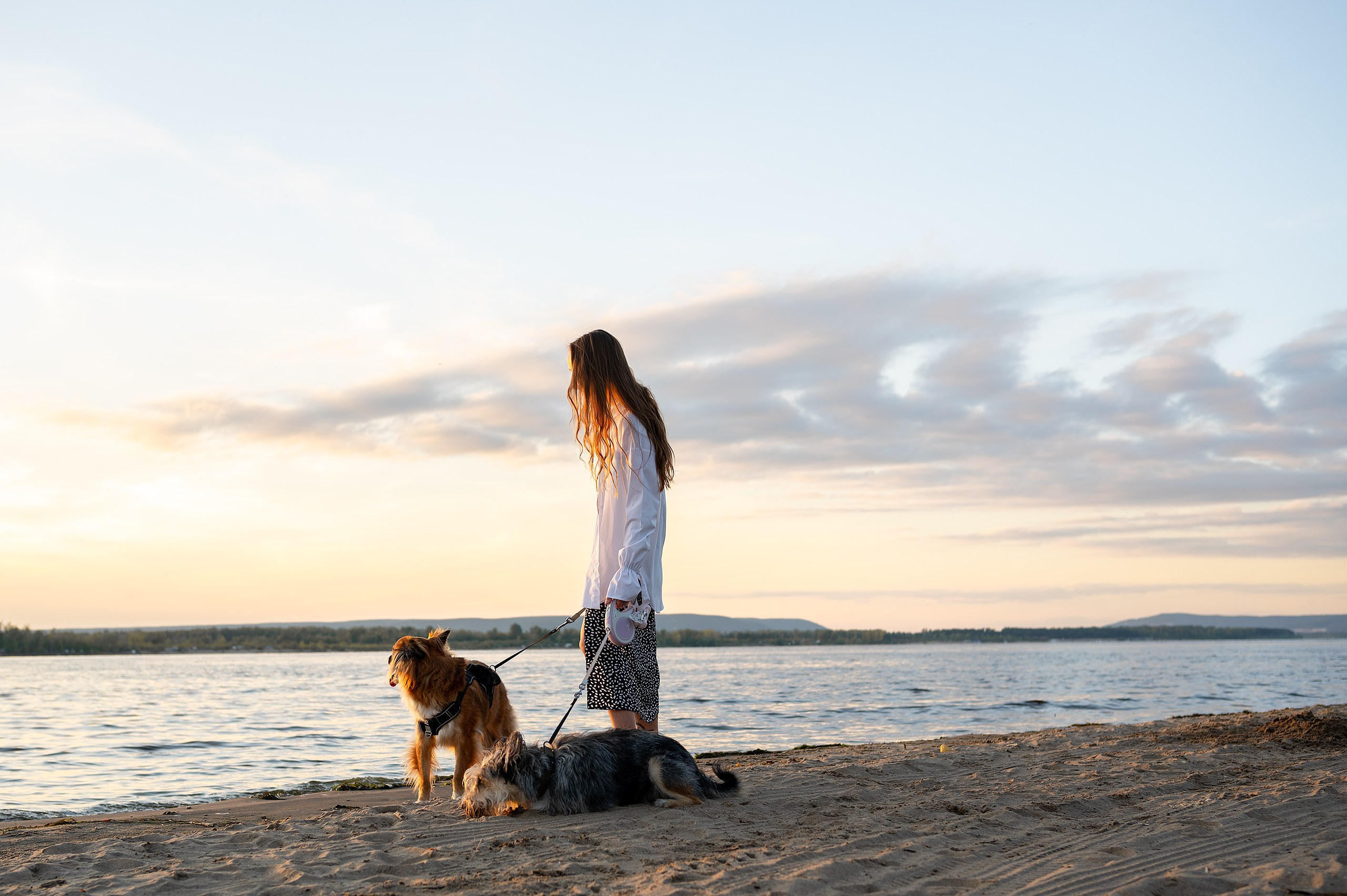 Лиза, Клопа и Хрюша. Главная