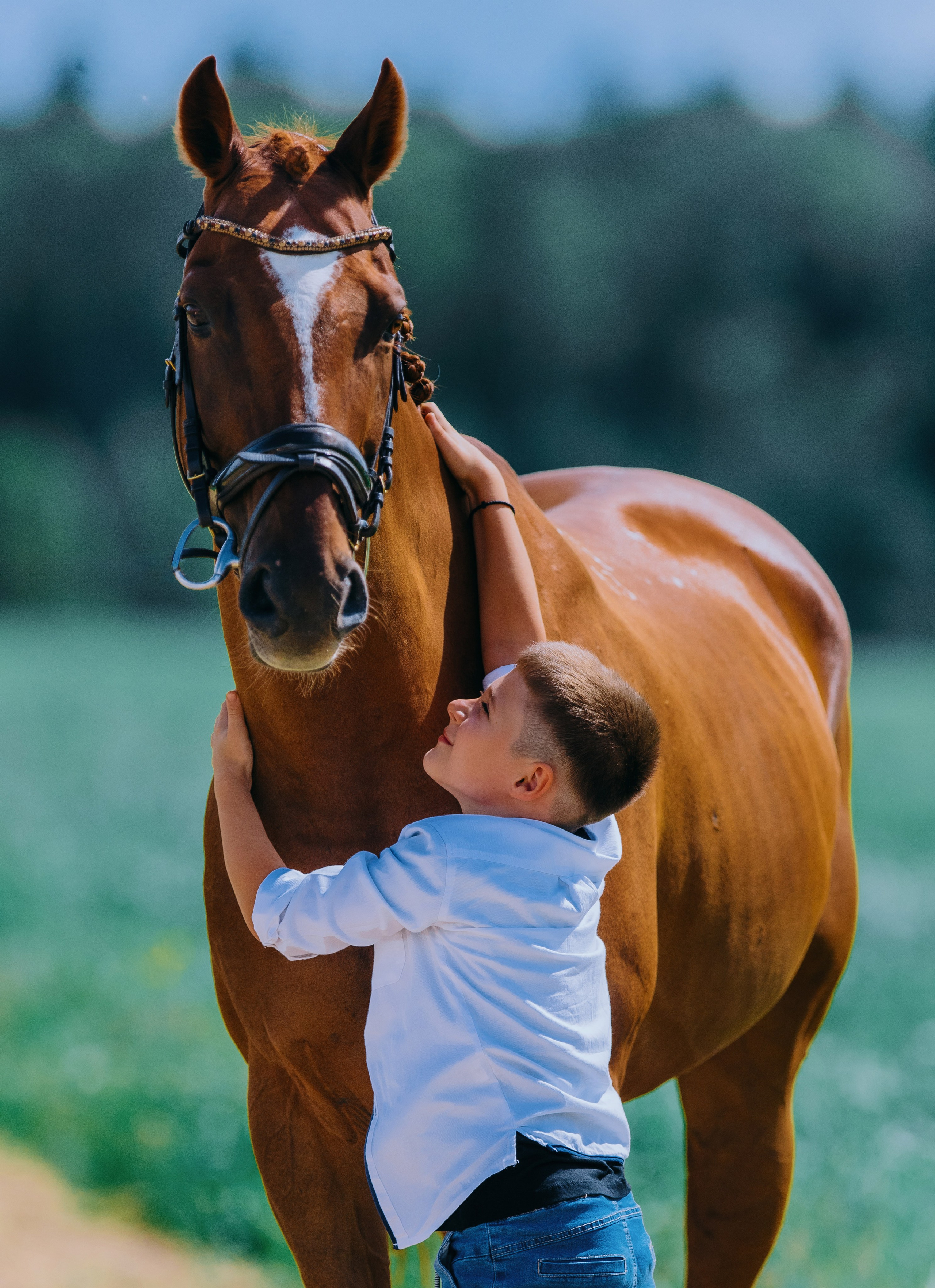Лена, Серёжа, Петя и Брабус. Фотограф-анималист Ксендзова Кристина