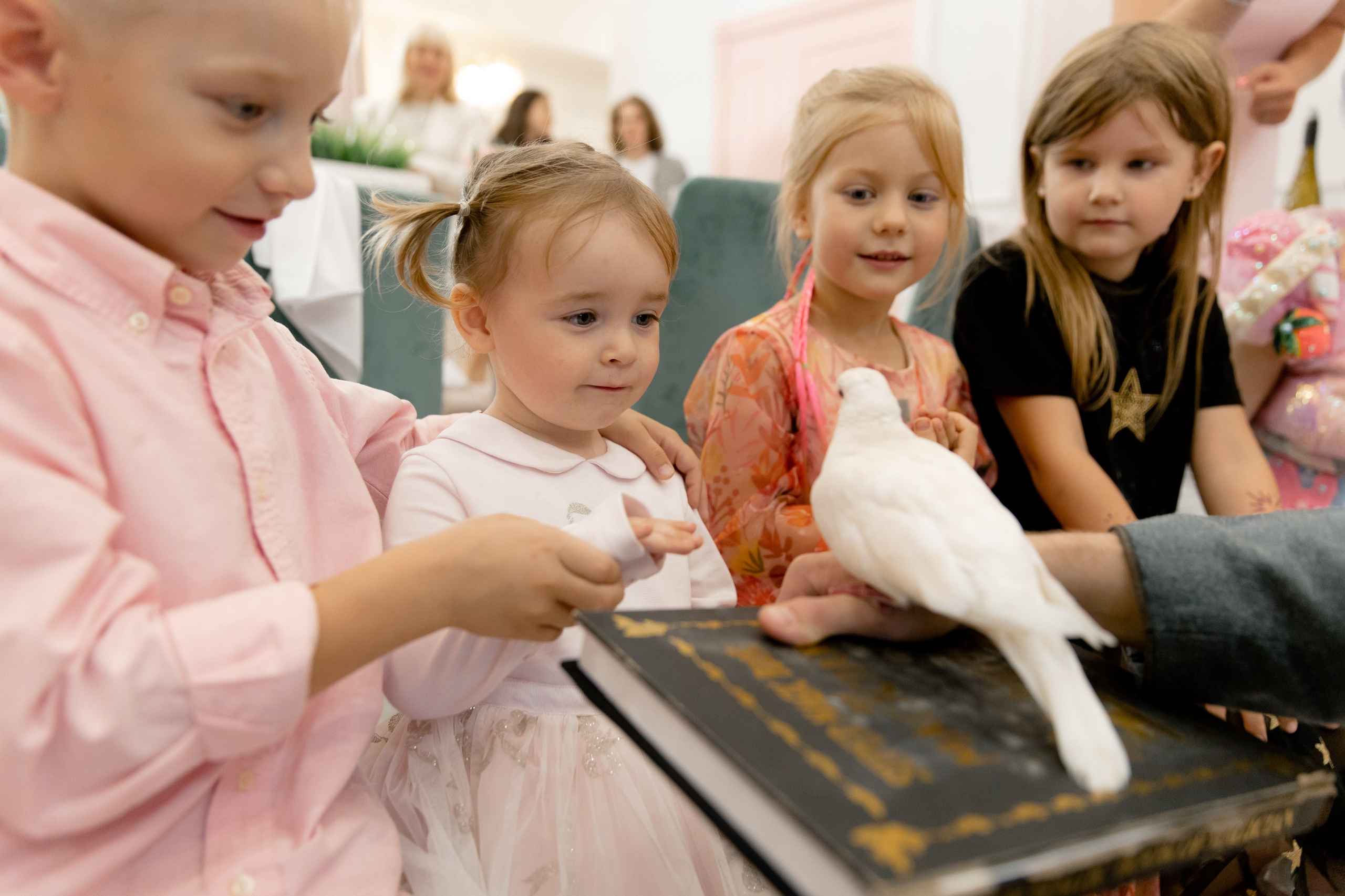 Стефания 2 года. Фотограф Роман Полянин