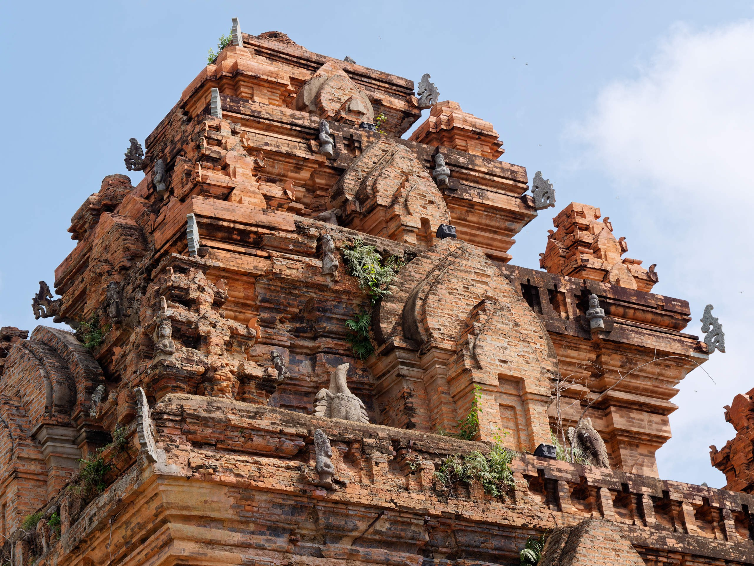 Нячанг 2023. Избранные фотографии