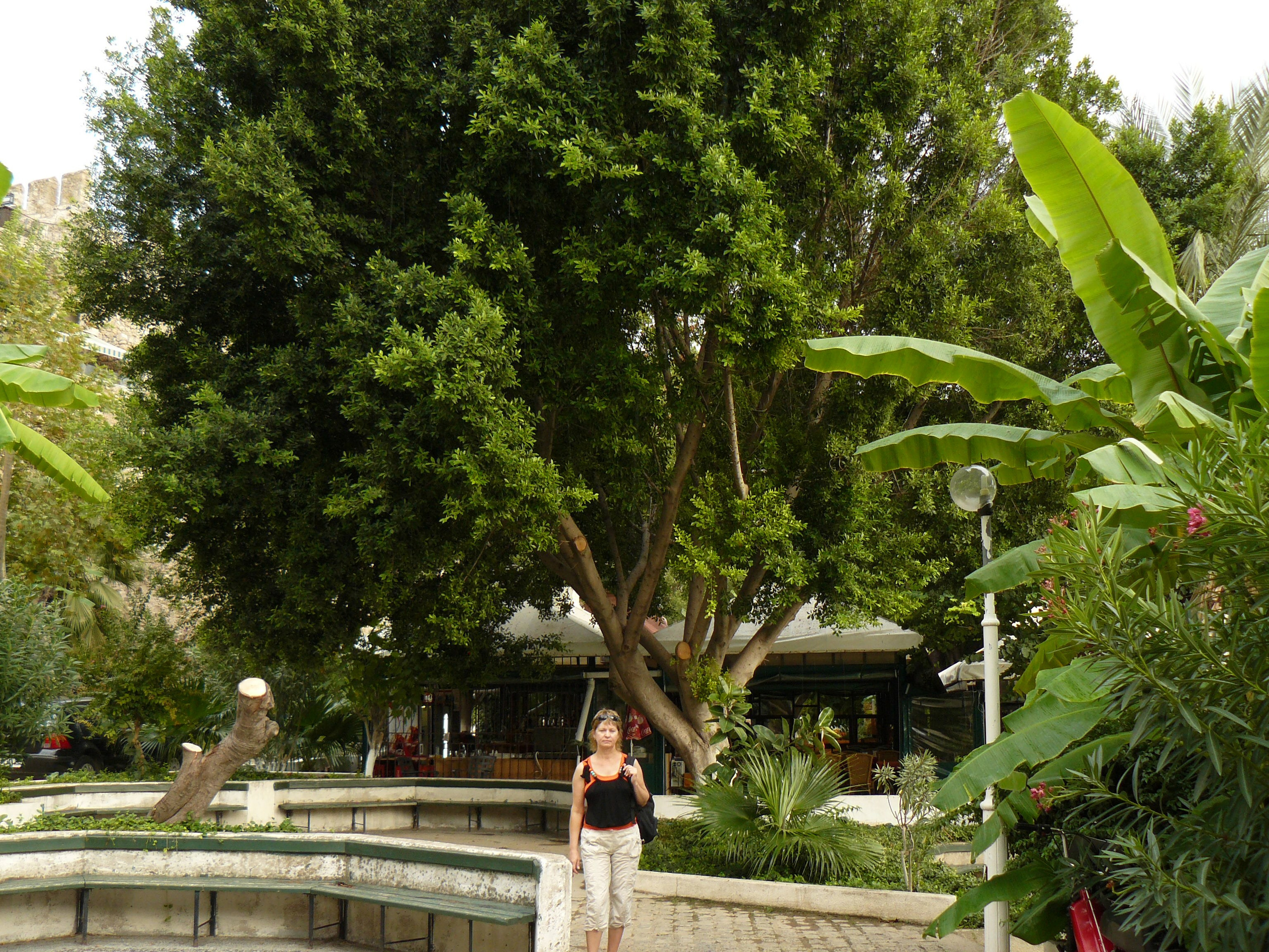 Анталия 2008. Избранные фотографии