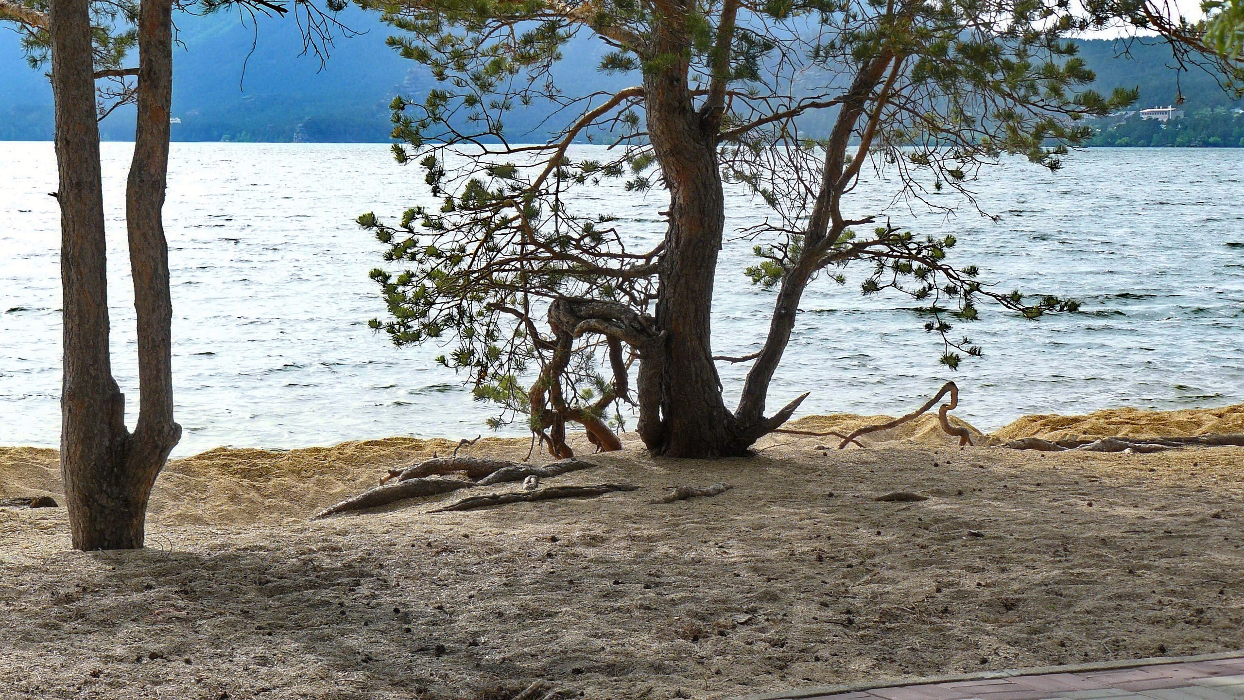 Боровое 2018 (из архива). Избранные фотографии
