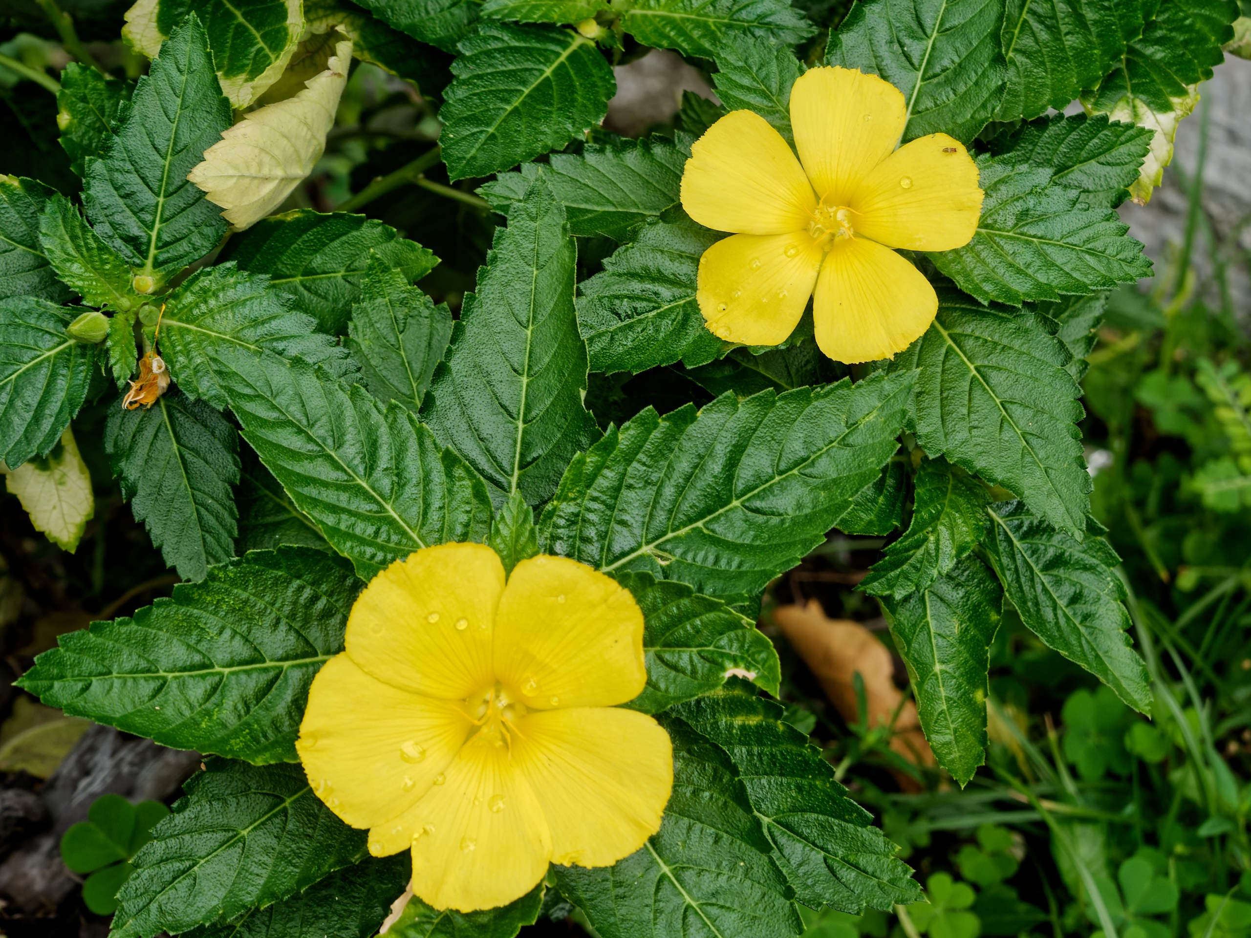 Нячанг 2025 (4). Избранные фотографии