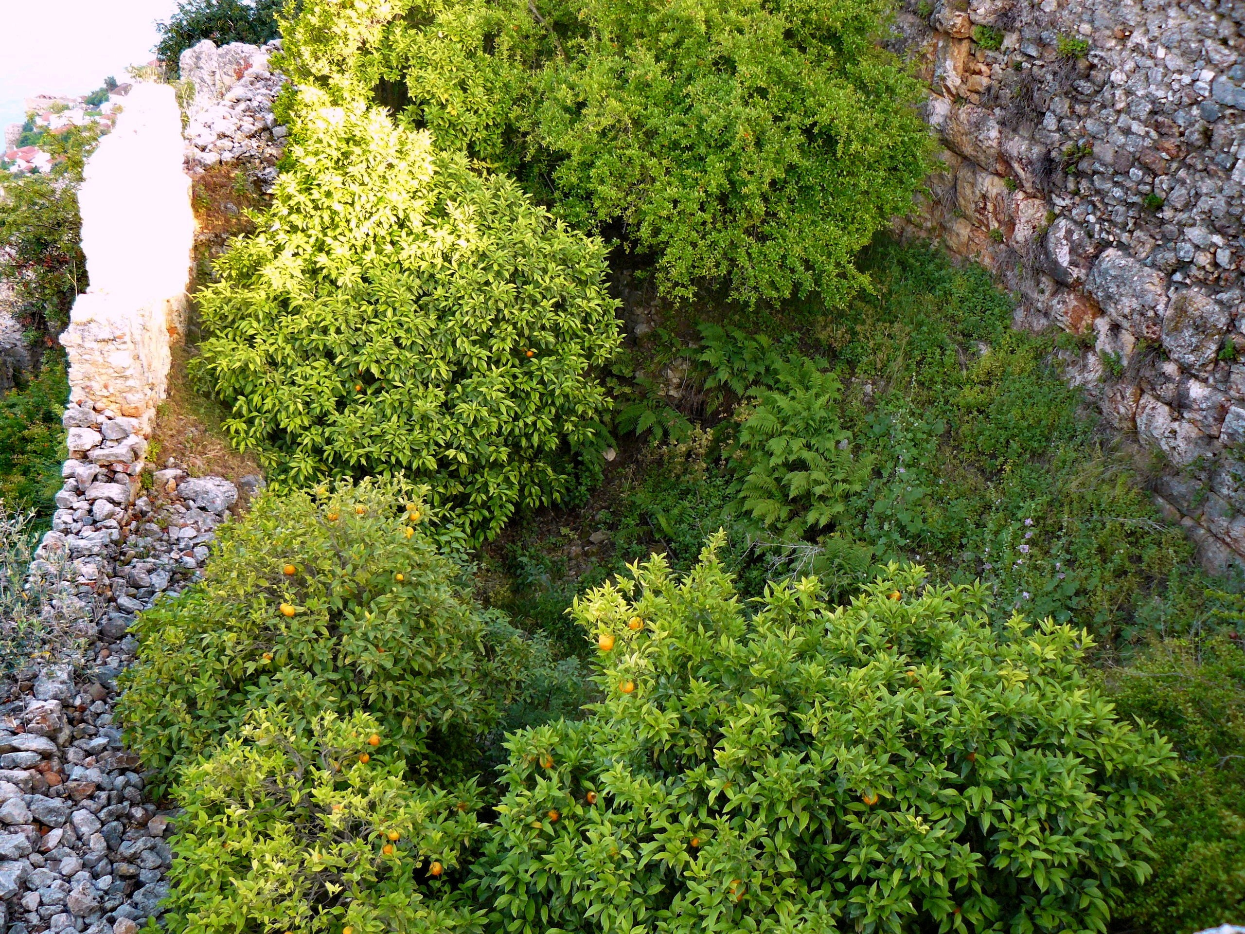 Алания 2014 старая крепость. Фотопрогулки по Миру