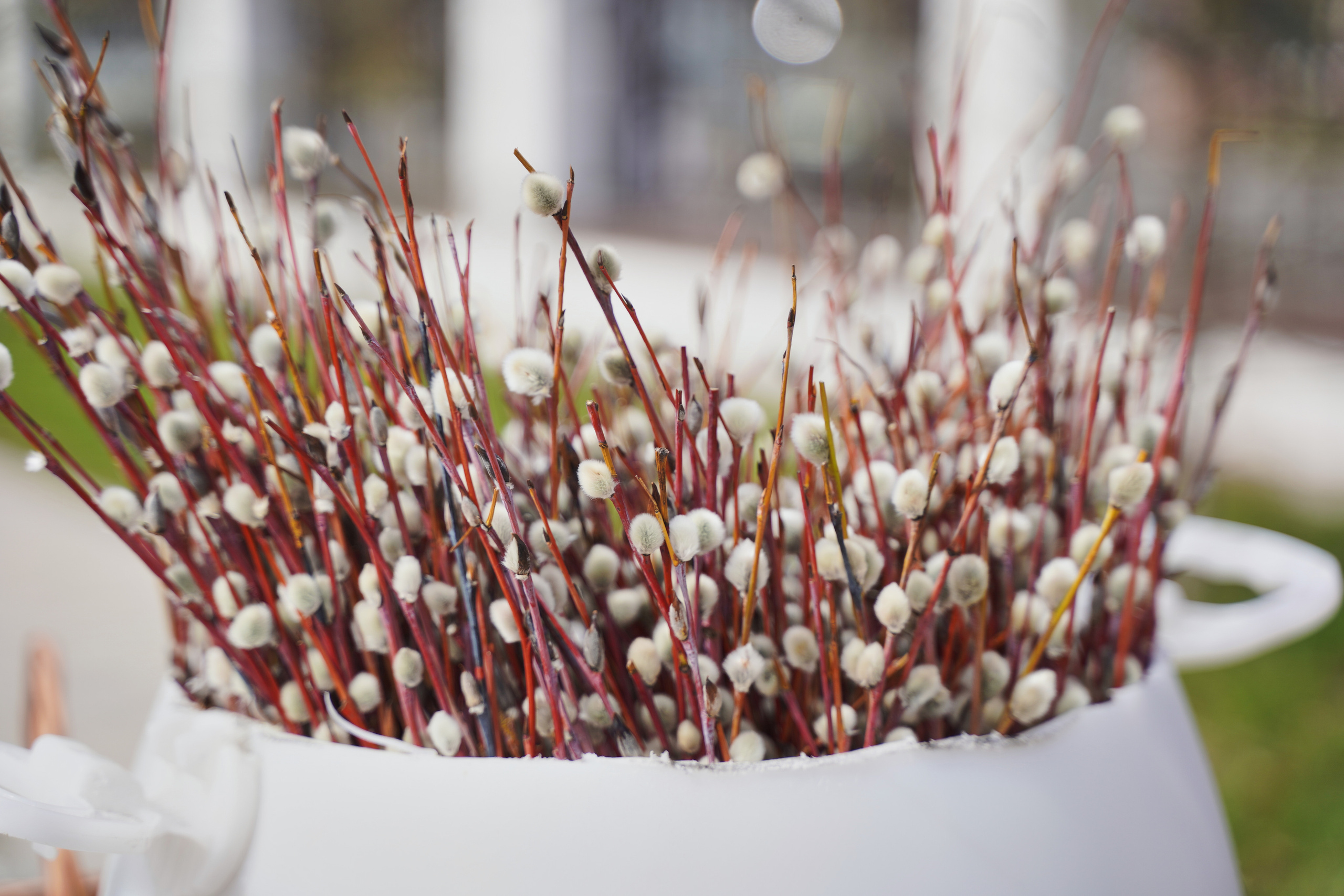 Храм Смоленской иконы Божией Матери. Освящение куличей, пасох и яиц. Портретный фотограф в Москве Елена Капралова