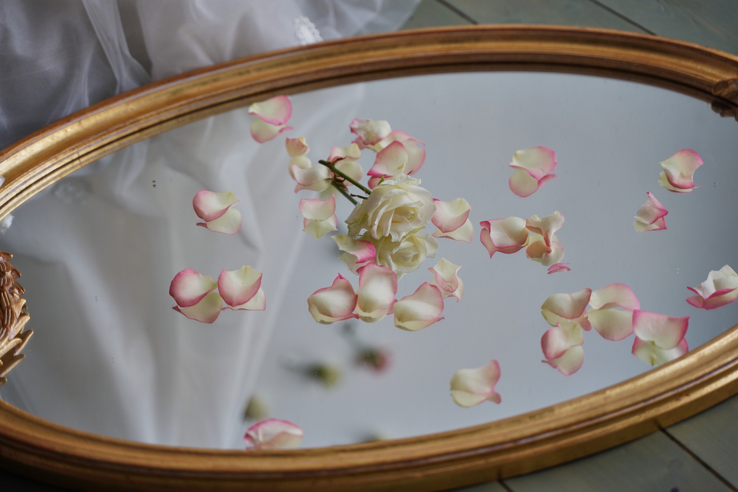 Женская фотосессия в студии. Съемка в фотостудиях Москвы. Портретный фотограф в Москве Елена Капралова