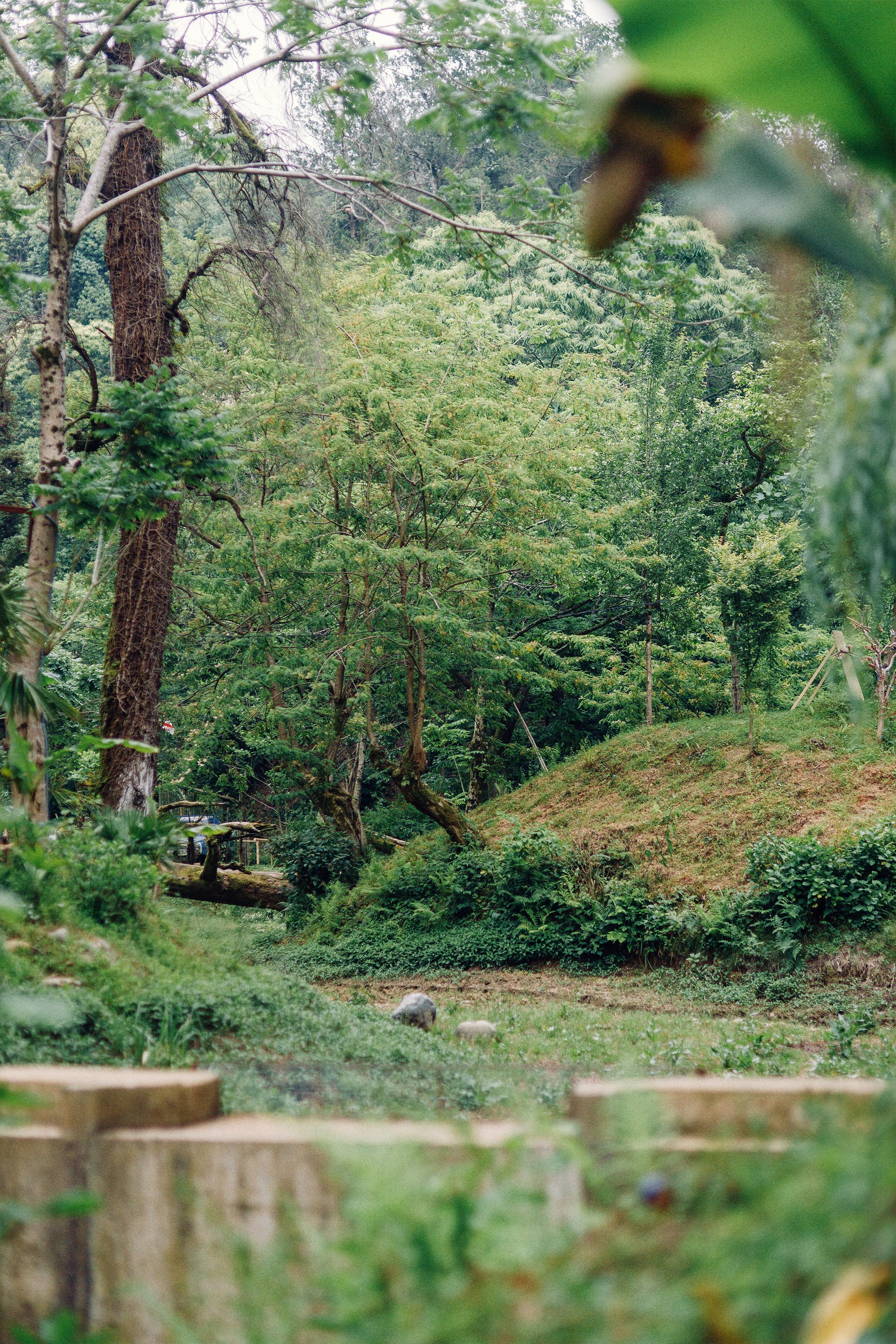 Свадебная съемка в Батуми