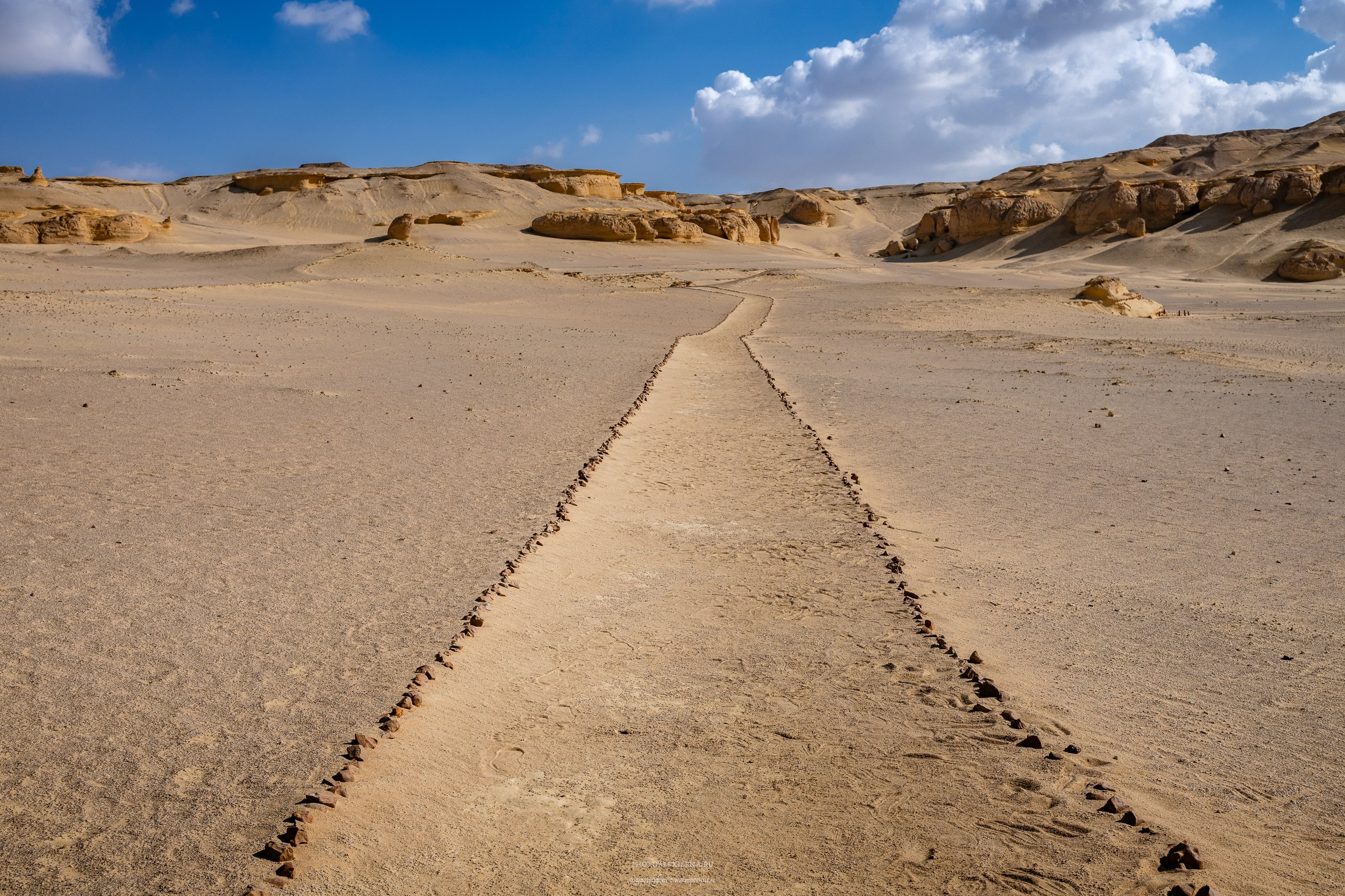 Снова в пустыню, за скелетами…. Авторские стильные фотокартины
