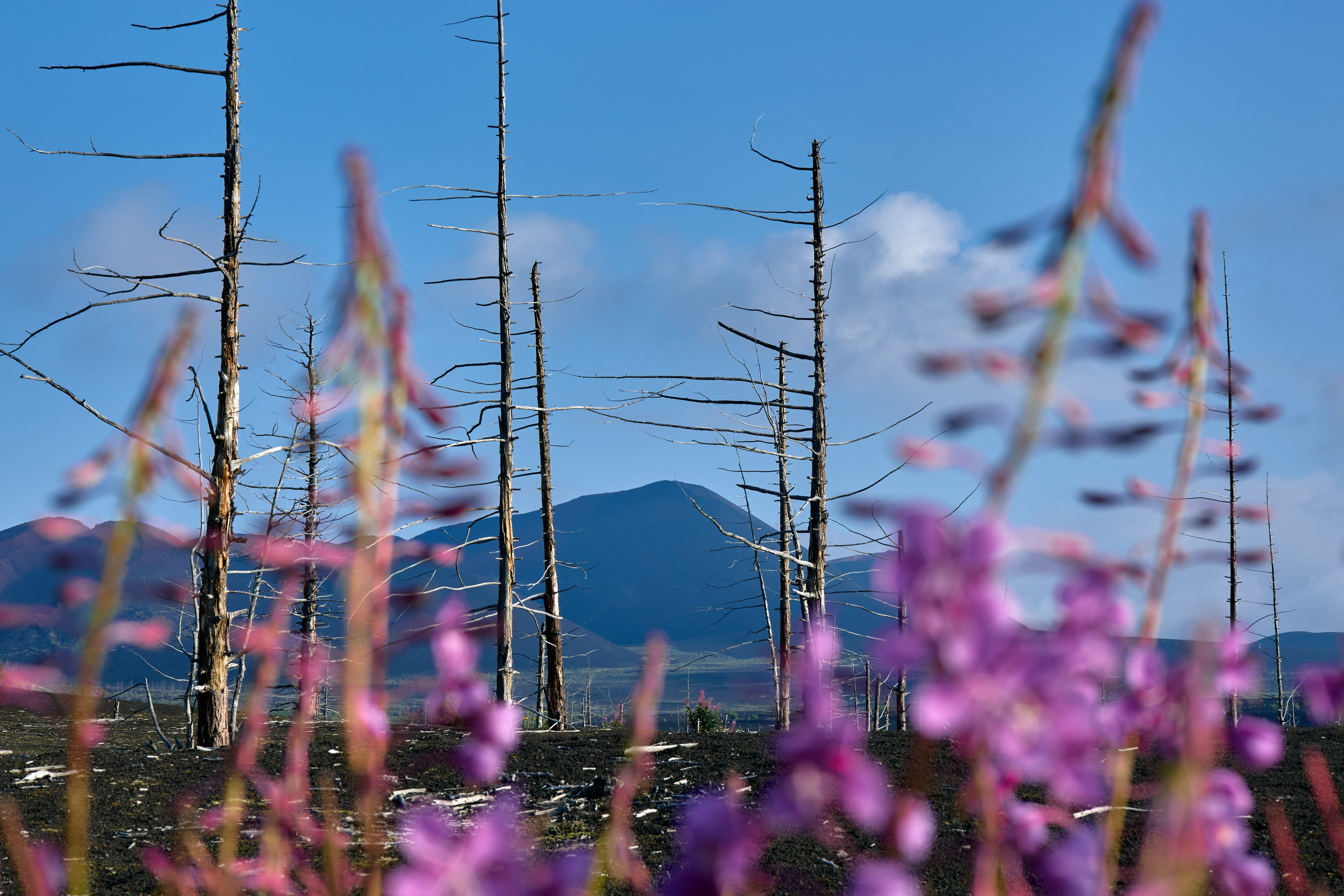 Камчатка. Travel-фотограф Ирина Милинцова