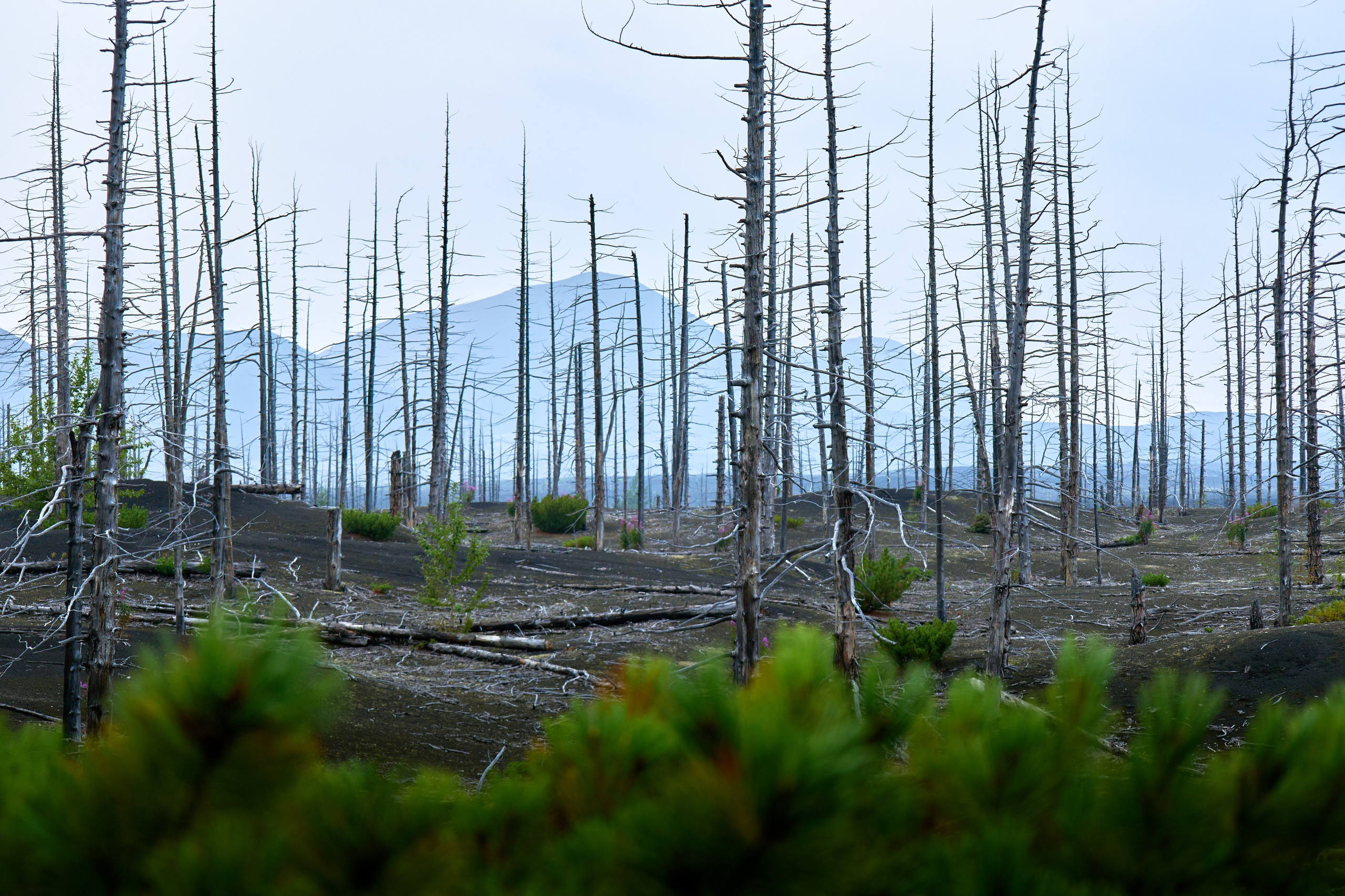 Камчатка. Travel-фотограф Ирина Милинцова