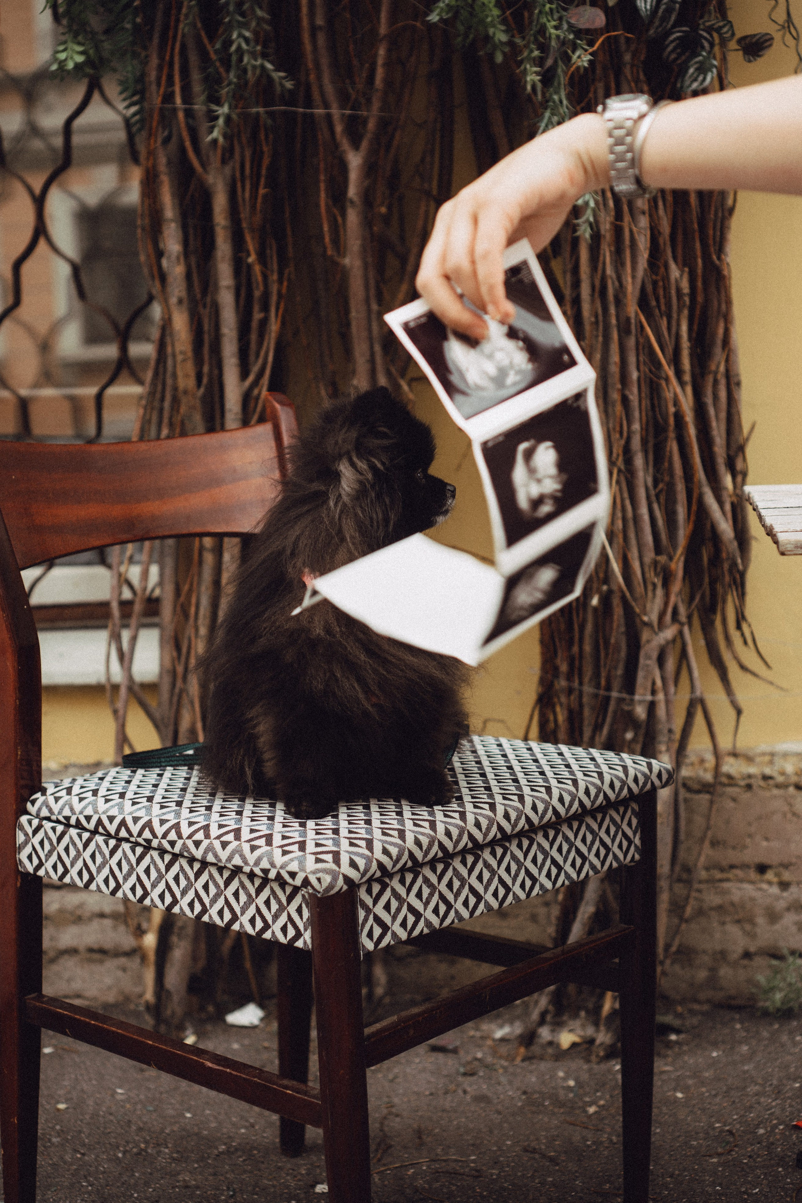 Беременность (только часть фото по желанию клиентов могу показать)). Профессиональный фотограф, Санкт-Петербург — Виктория Богомолова