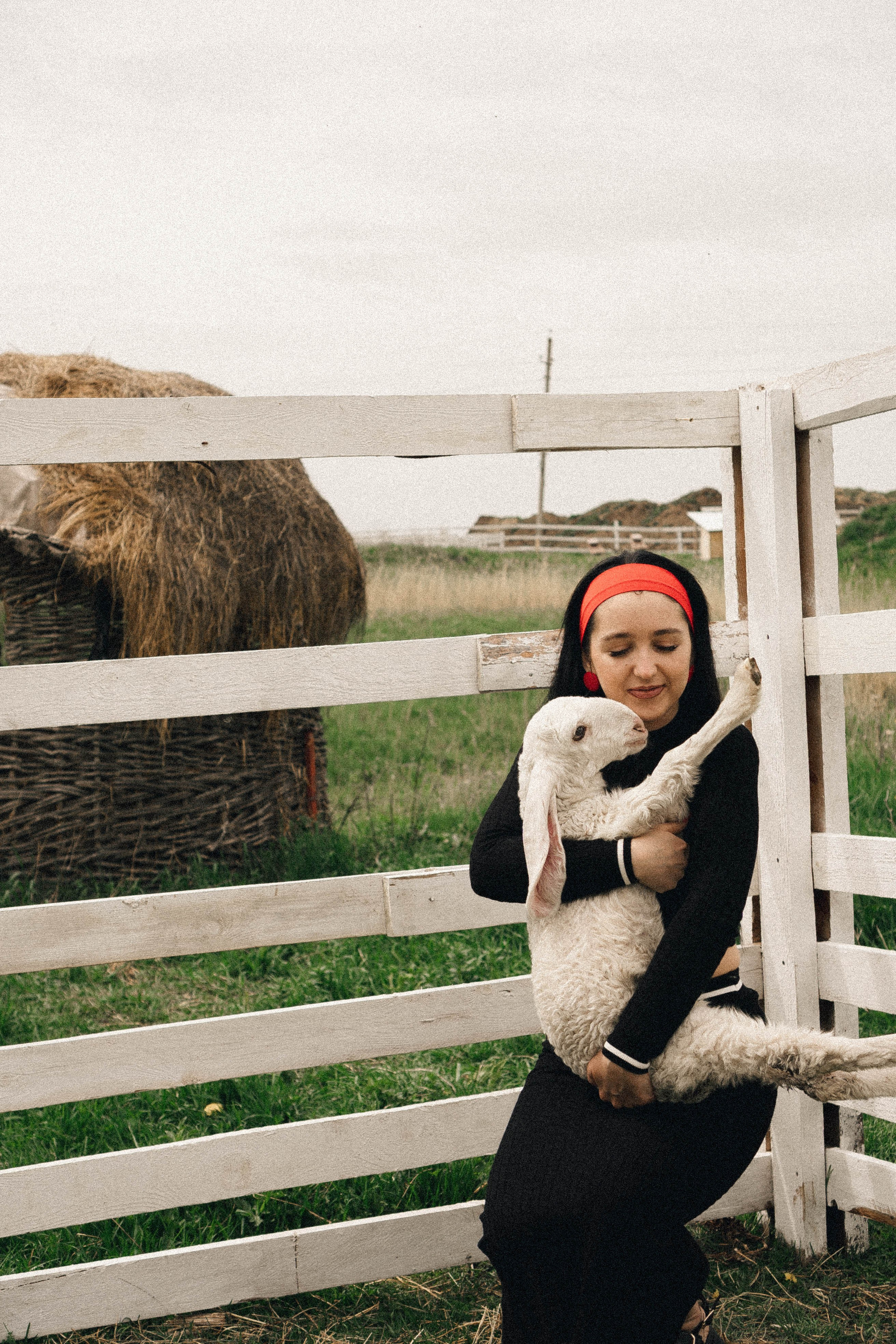 Ферма Альпак. Профессиональный фотограф, Санкт-Петербург — Виктория Богомолова