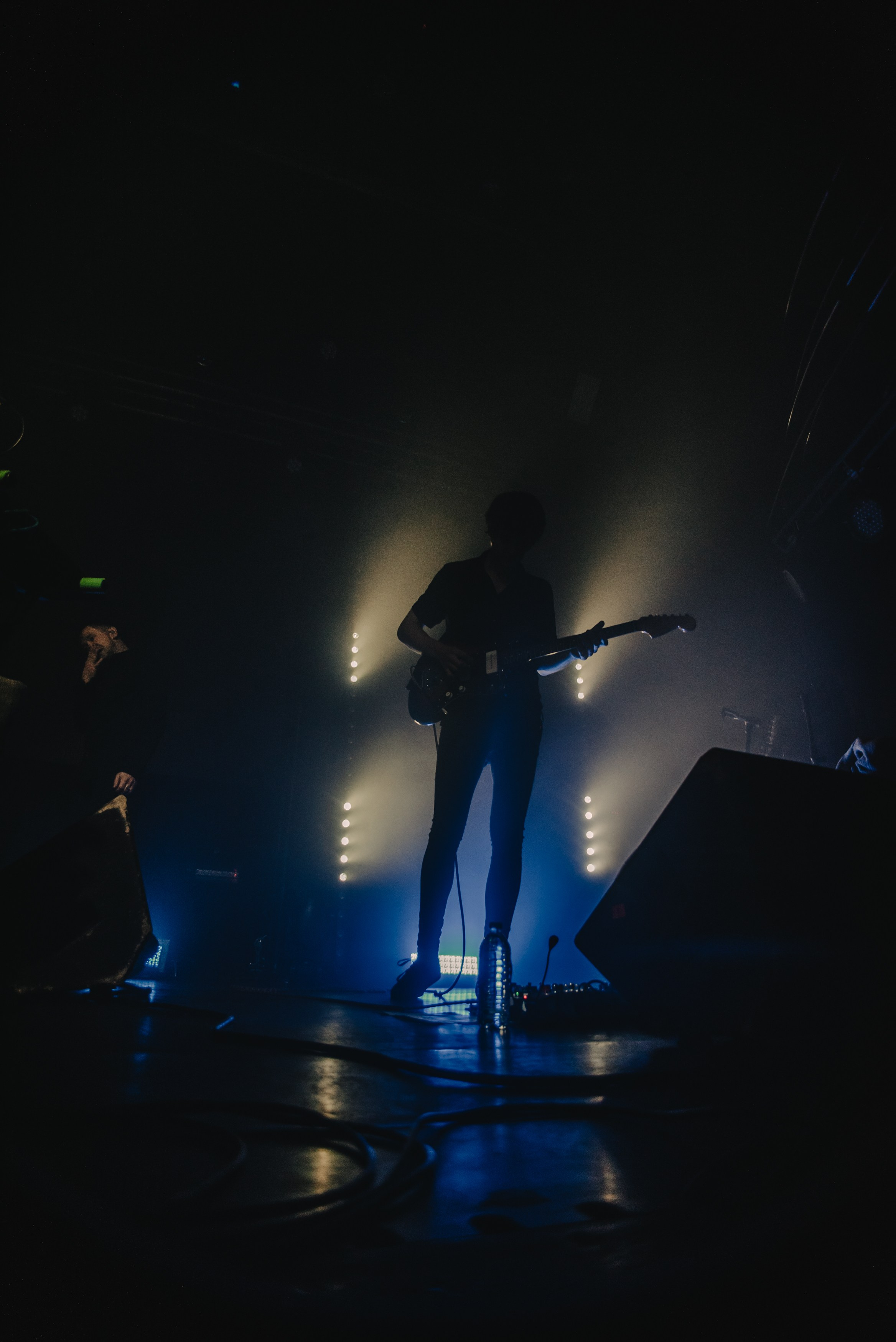 Дельфин | Gaudi. Контент фотограф Илья Урс