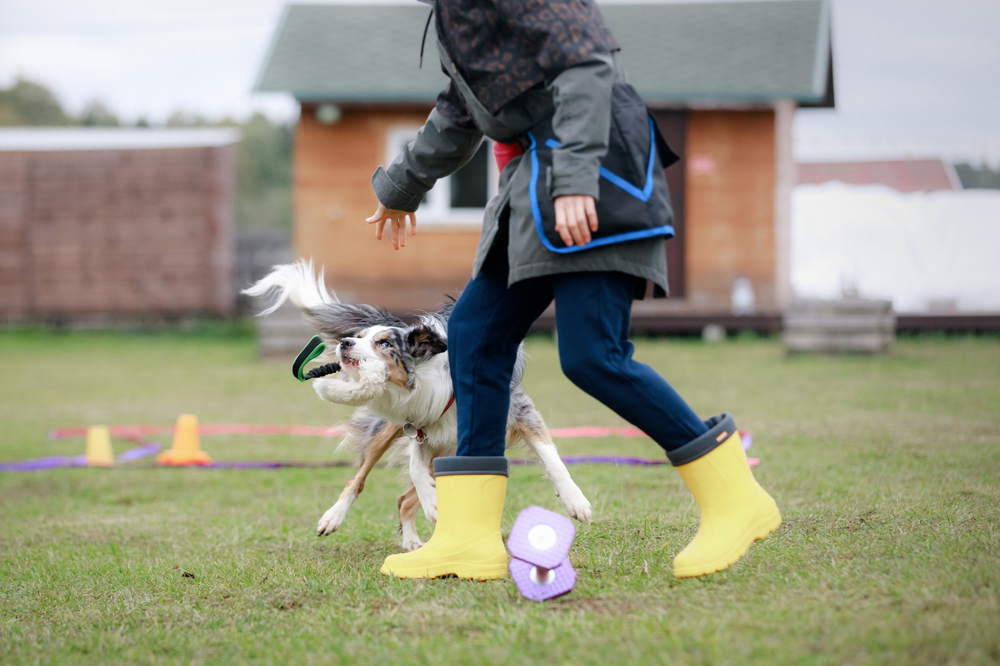 Лагерь по ОБД с Инной Баженовой. Фотограф-анималист Mary Mart — Москва, Питер