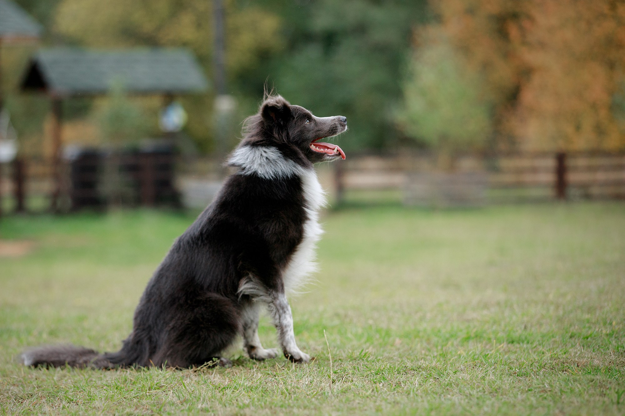 Лагерь по ОБД с Инной Баженовой. Фотограф-анималист Mary Mart — Москва, Питер