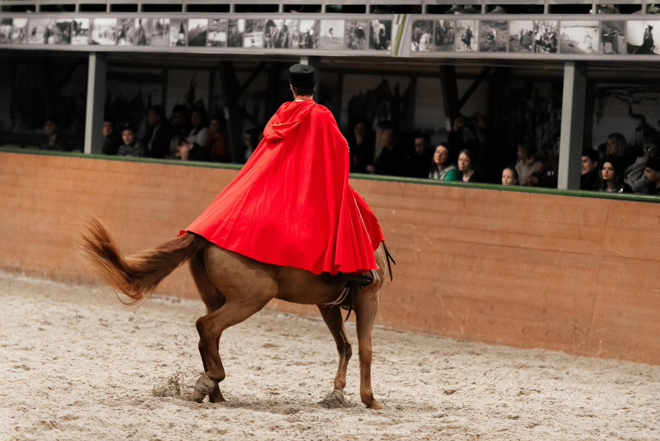 Конное представление «Дыхание Звёзд». Конный фотограф Куракина Дарья • Фотосессии с лошадьми