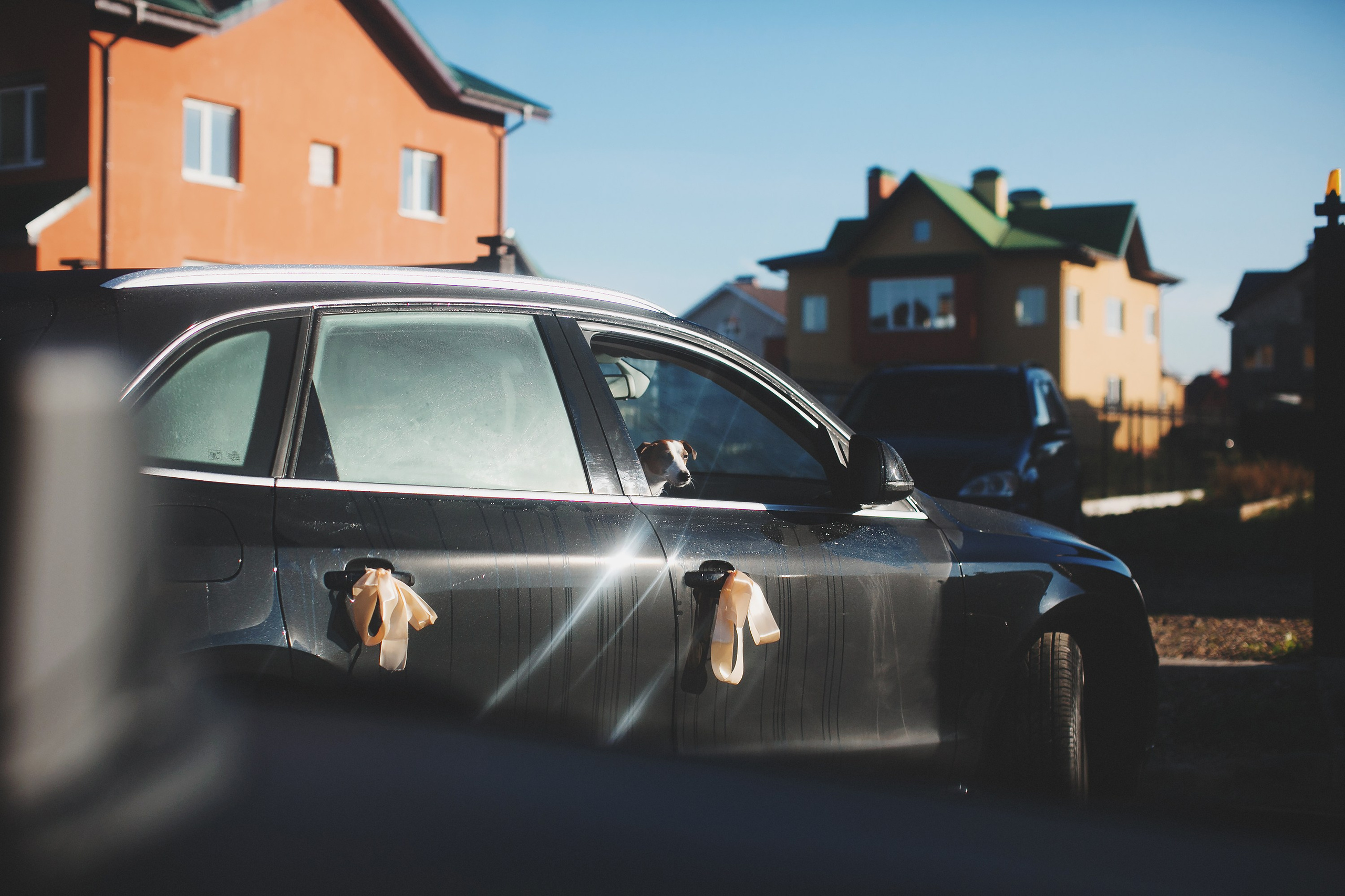 Свадебная фотография. Павел Иванов. Создание профессионального медиаконтента. Москва