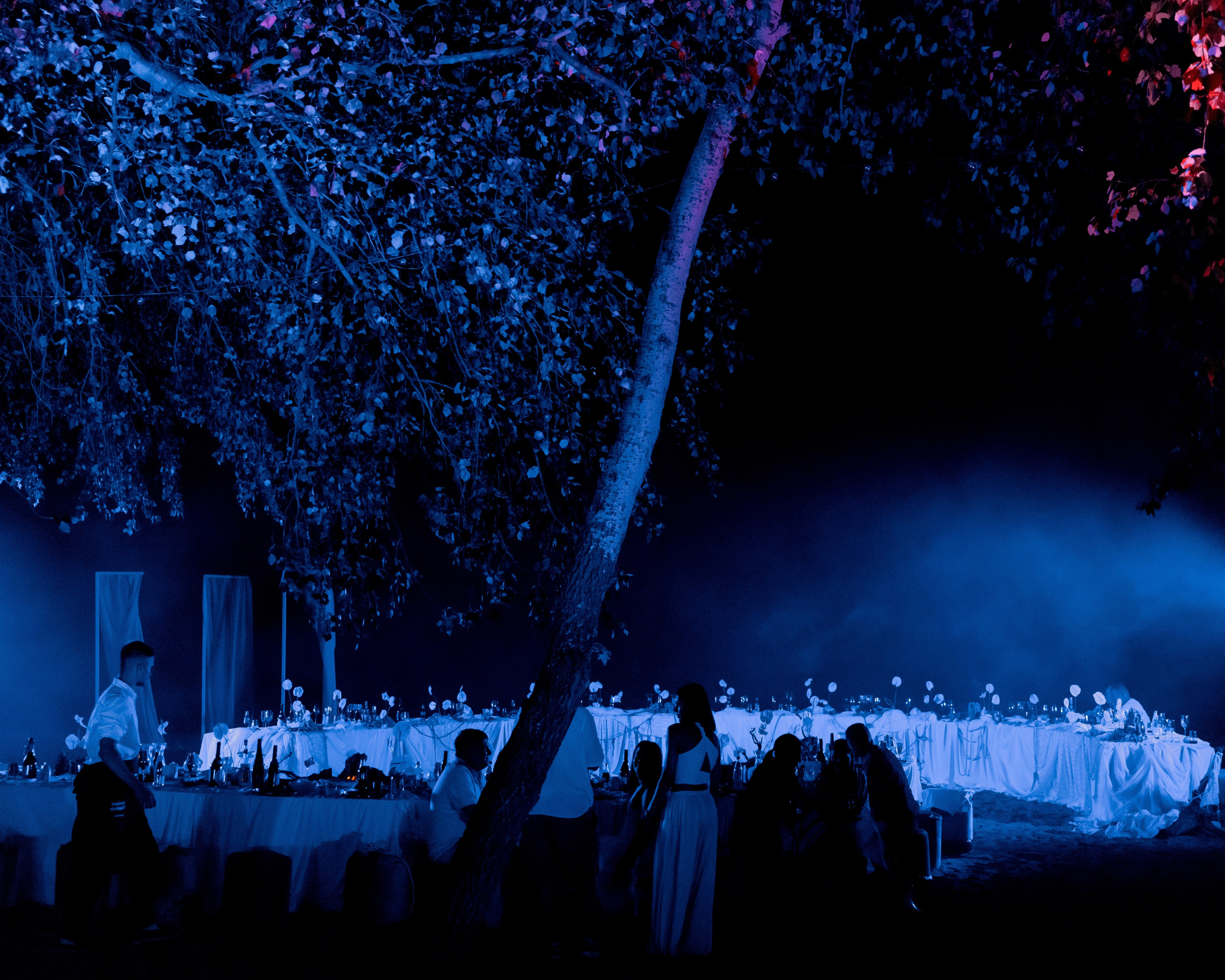 Денис и Анастасия. Wedding and Reportage photographer Marmarov Christya