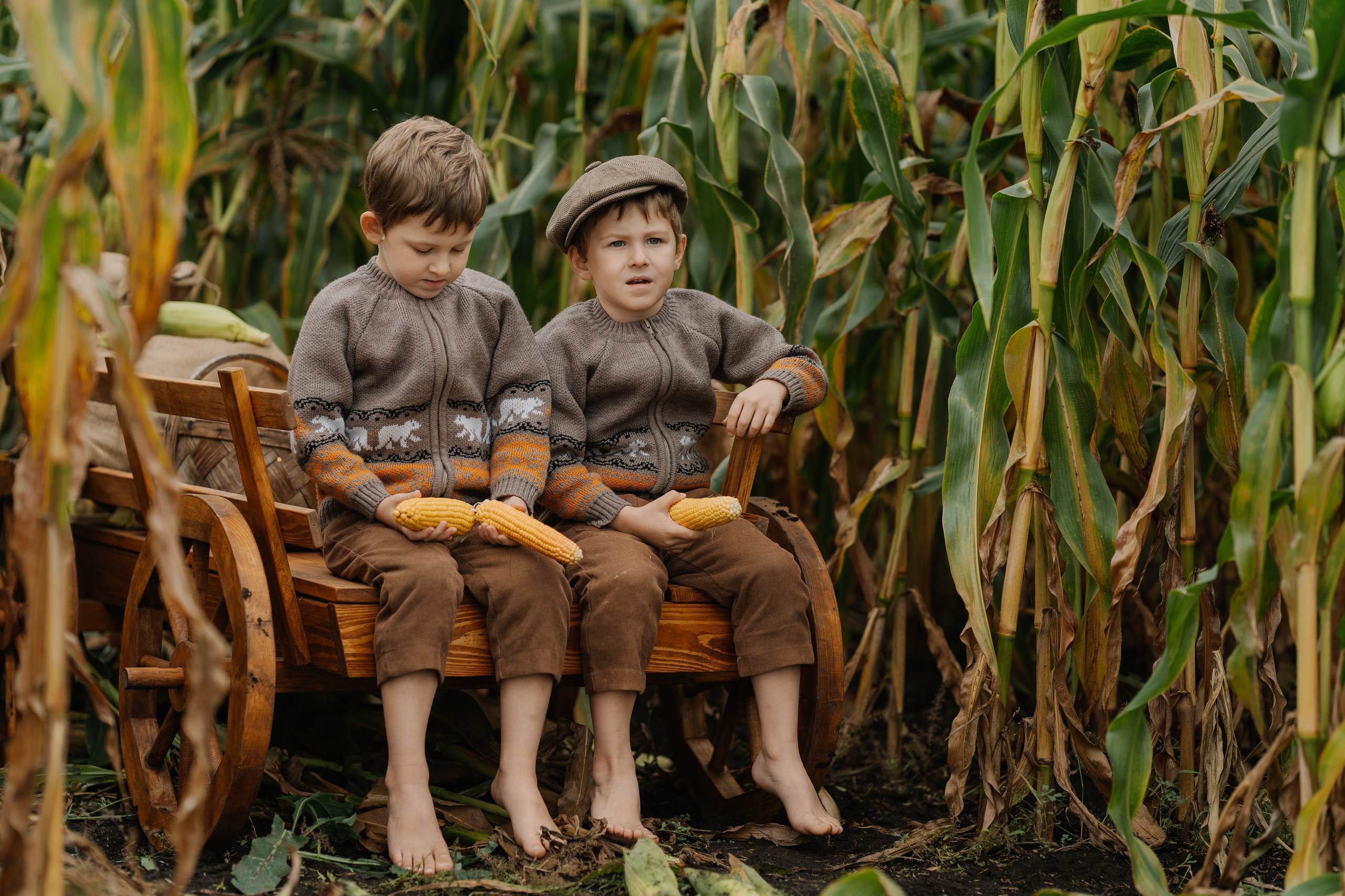 Ваня и Илья в кукурузе. СВАДЕБНЫЙ ФОТОГРАФ КРАСНОЯРСК