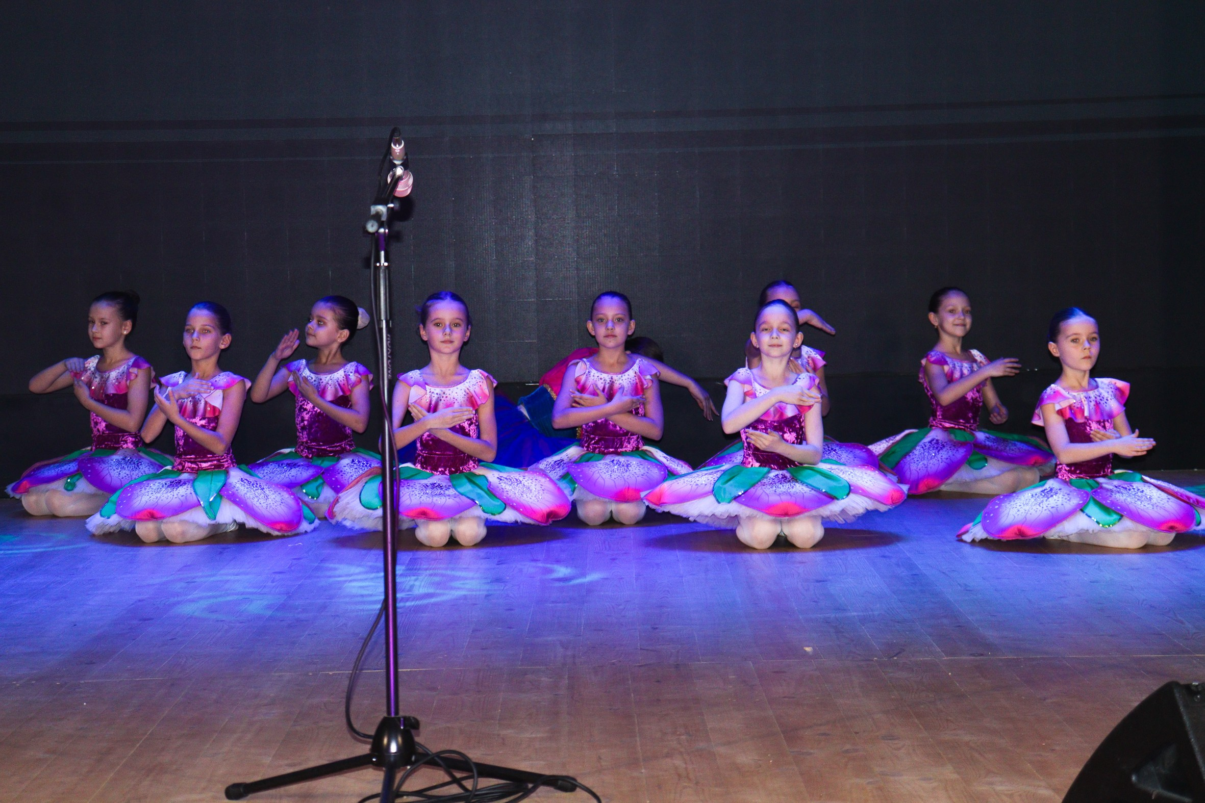 Новогодний концерт Шишли-Мышли