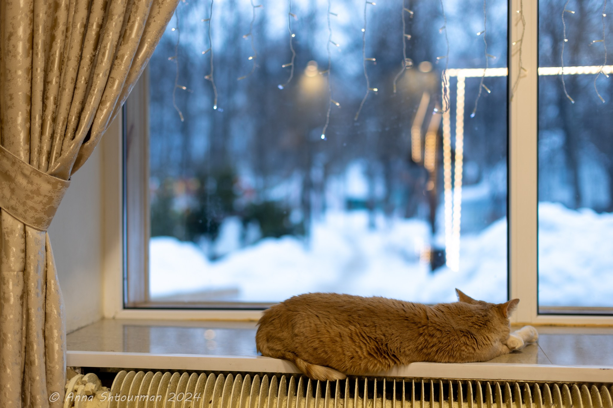 2024 Межрегиональная шахматная школа гроссмейстеров (Кострома, Россия). Фотограф Анна Штурман (репортажная съёмка любых событий и мероприятий) Anna Shtourman photographer