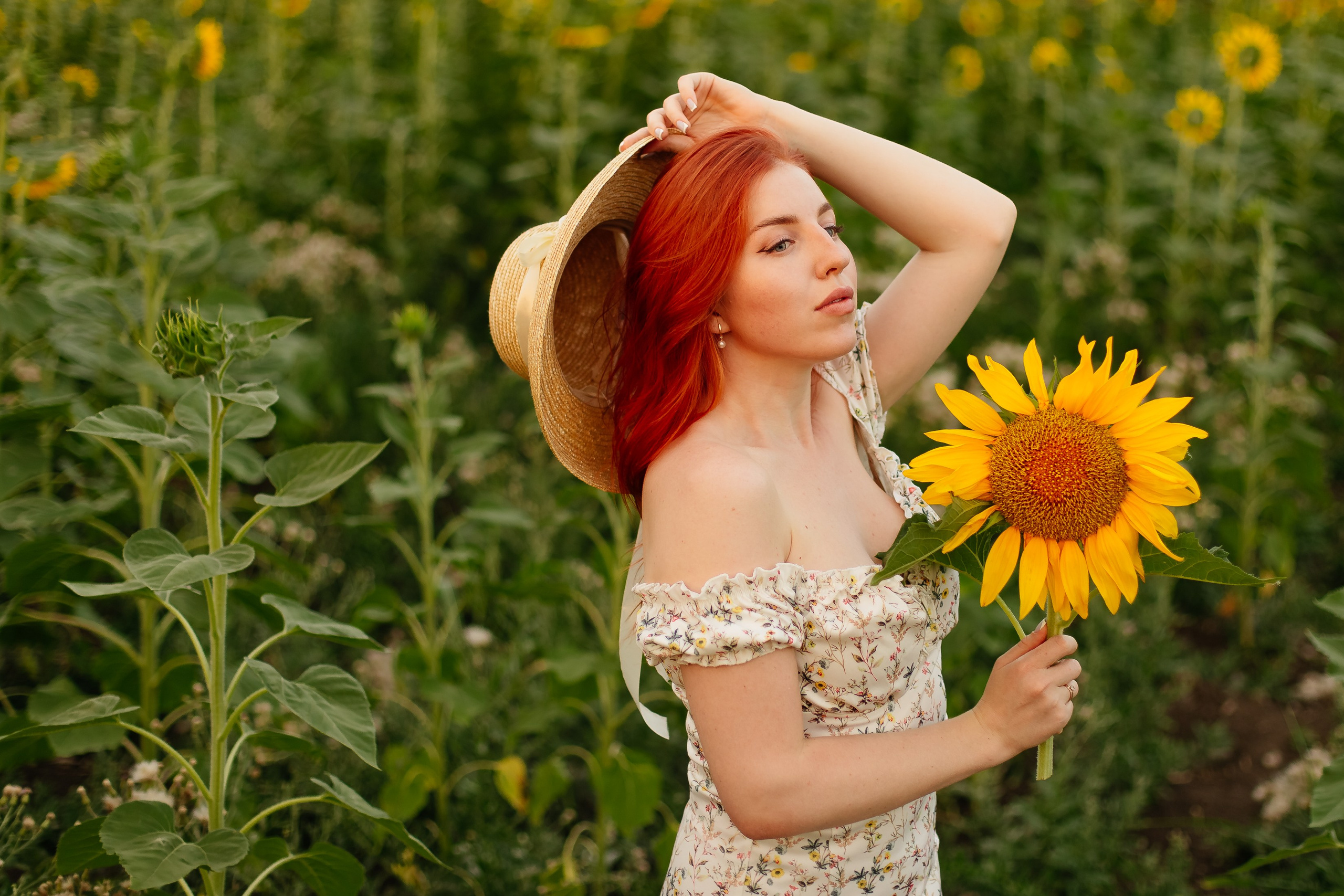 Подсолнухи. Свадебный и семейный фотограф в Краснодаре Илонна Ковалева