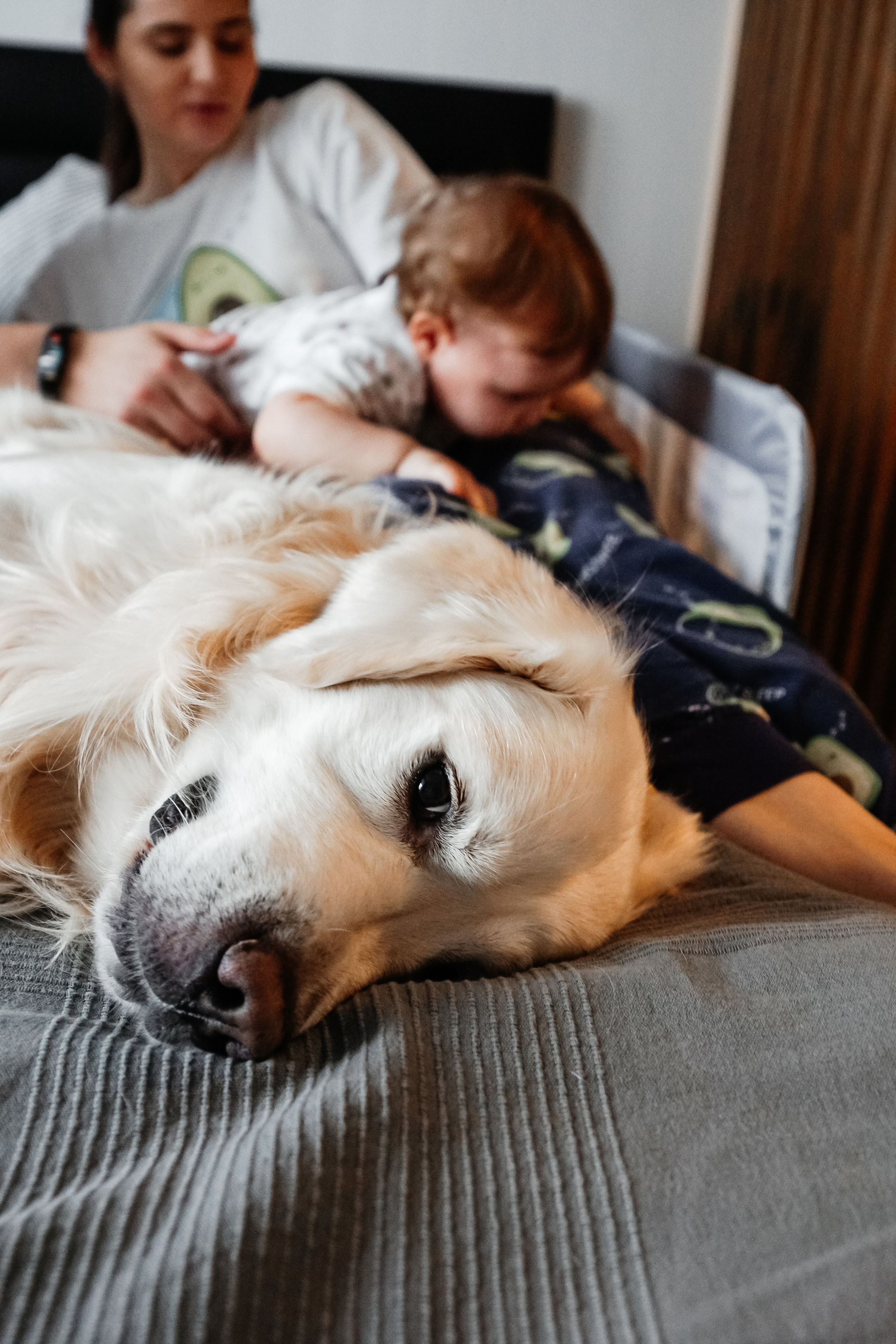Алиса. Свадебный и семейный фотограф Томск| Юлия Филатова