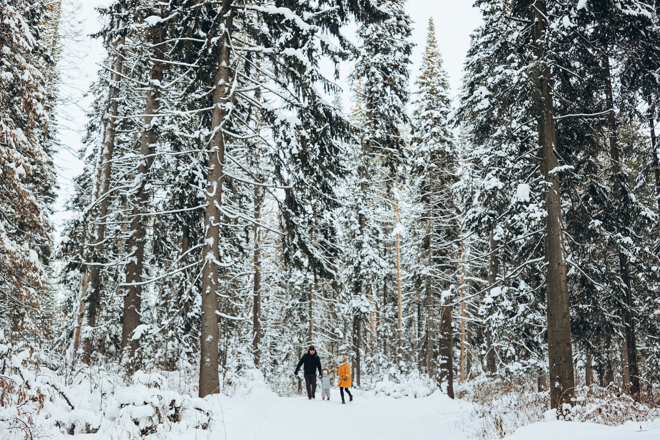 Зима в парке. Свадебный и семейный фотограф Томск| Юлия Филатова