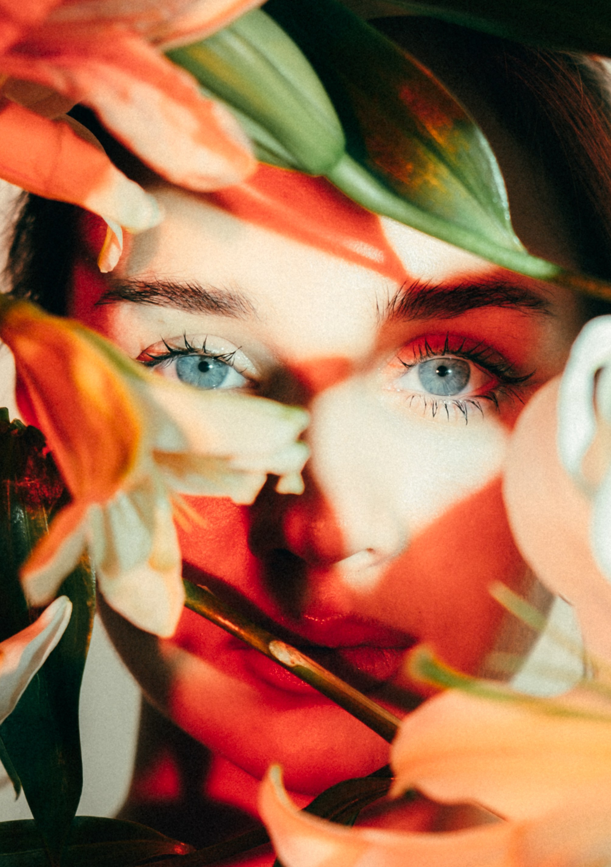 Альбина | свет и цветы