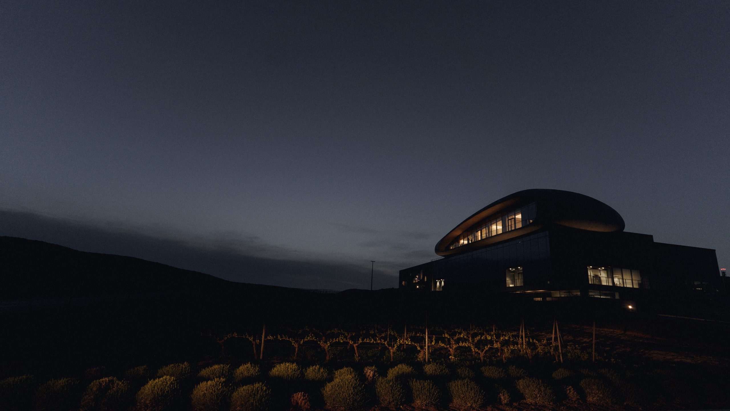 Скалистый берег 2024. Свадебный фотограф в Краснодаре и Сочи Винидиктова Екатерина