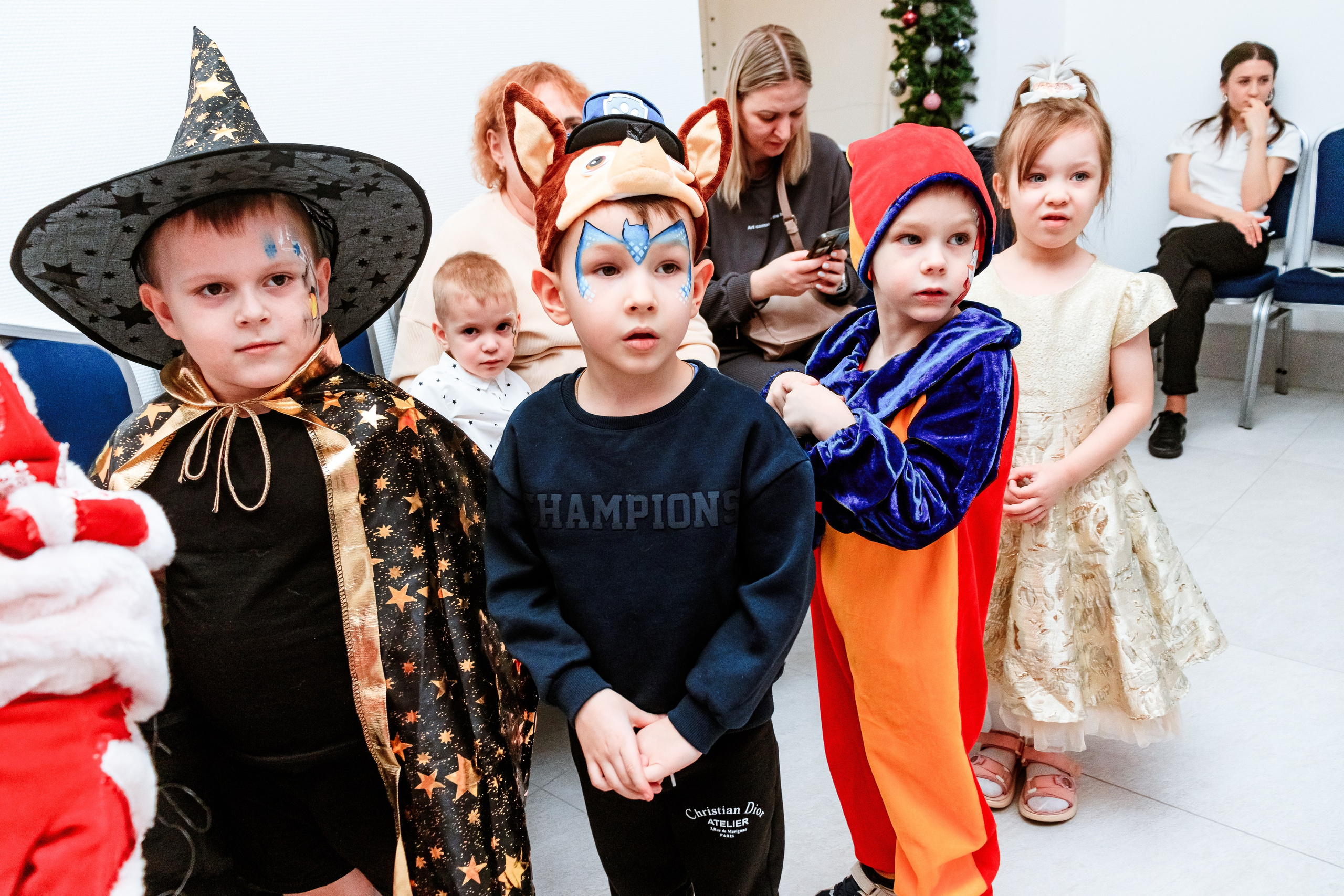 Знайка. Щенячий новый год. Фотограф — Новосибирск