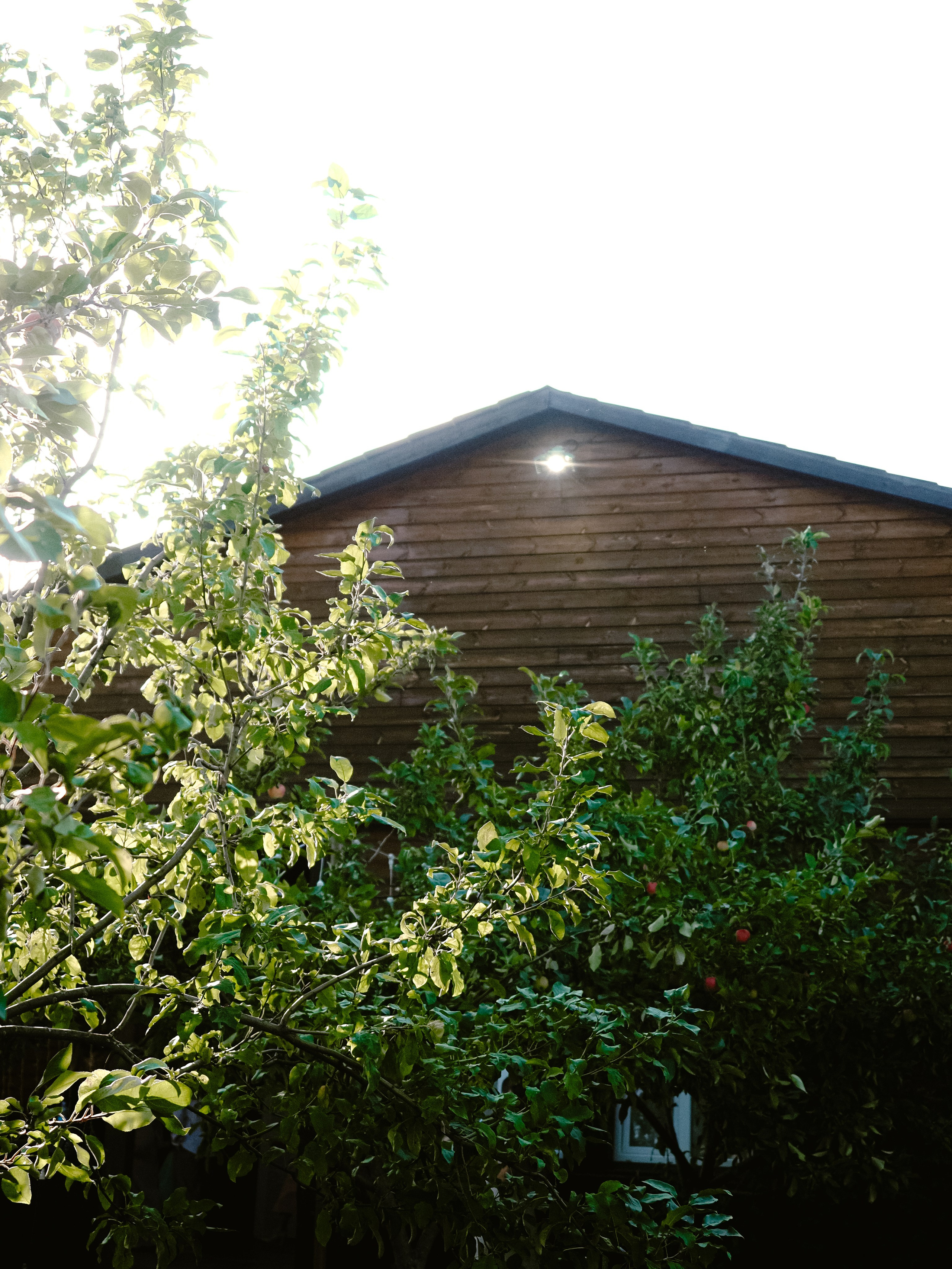 Сергей и Яна. Фотограф Рязань. Семейный Свадебный фотограф