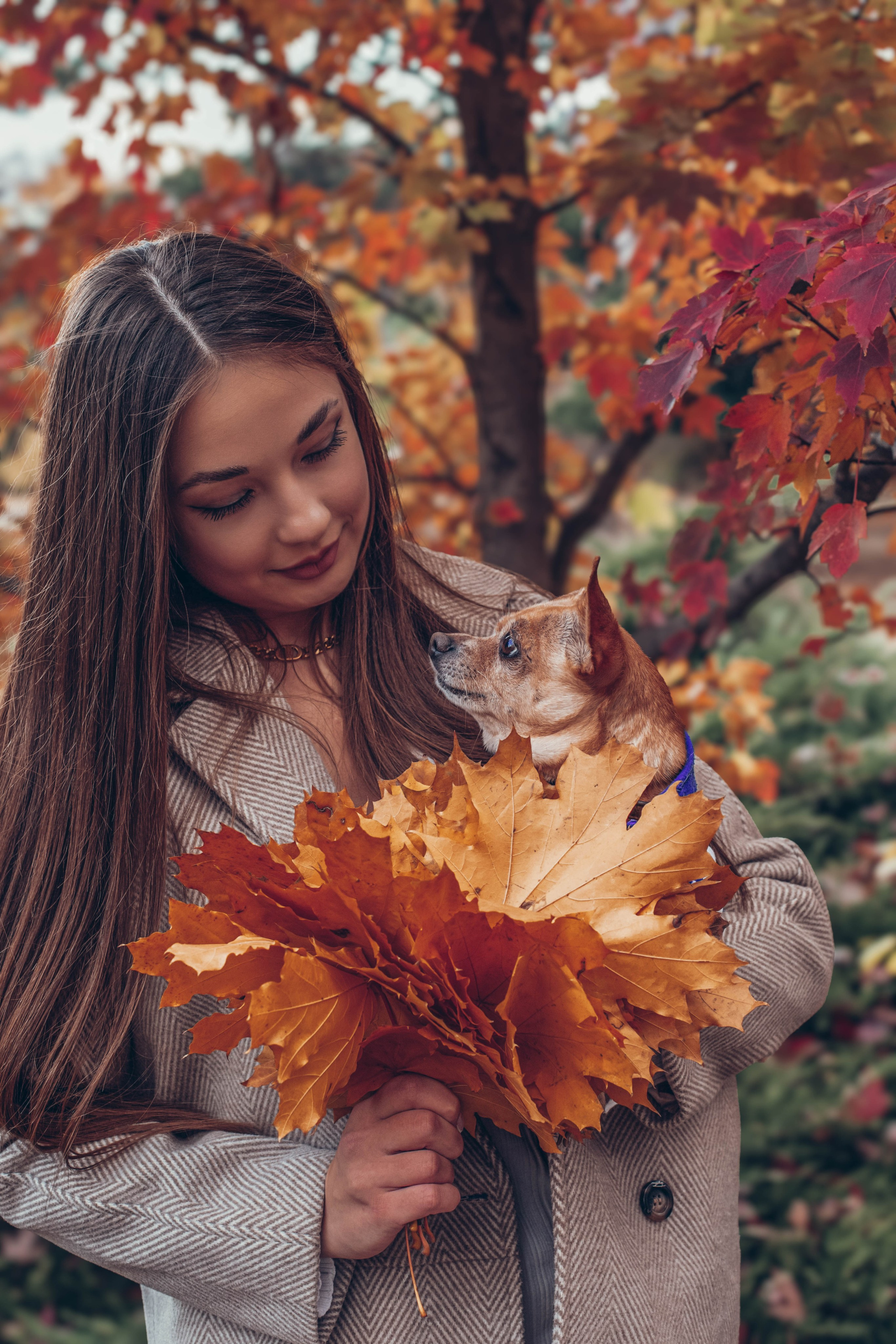 Осенняя прогулка в парке Егора и Ангелины. Мария Авджян Фотограф и видеограф Краснодар