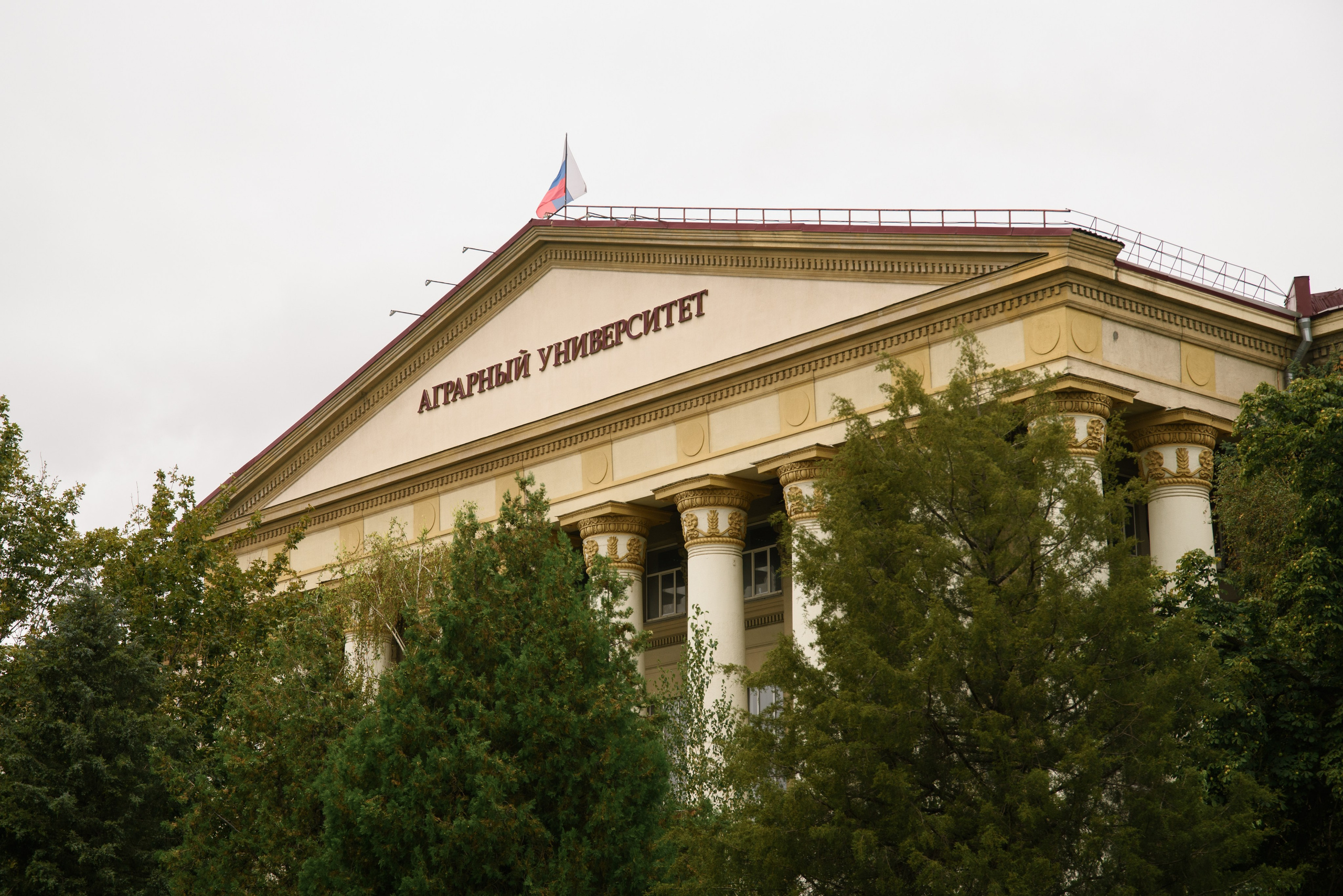Репортажная фотосъёмка в Волгограде
