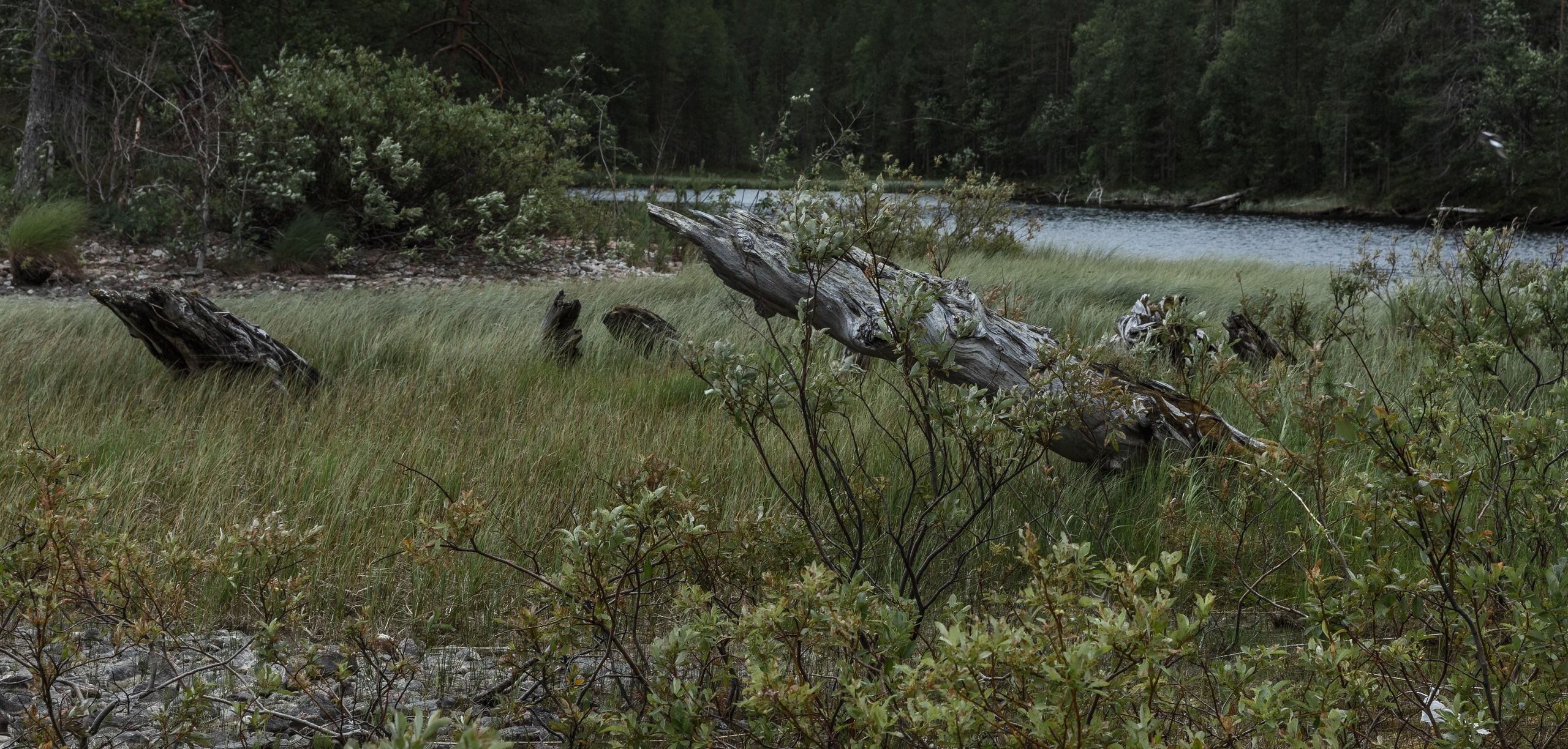 Оз. Колвицкое. Фотографии