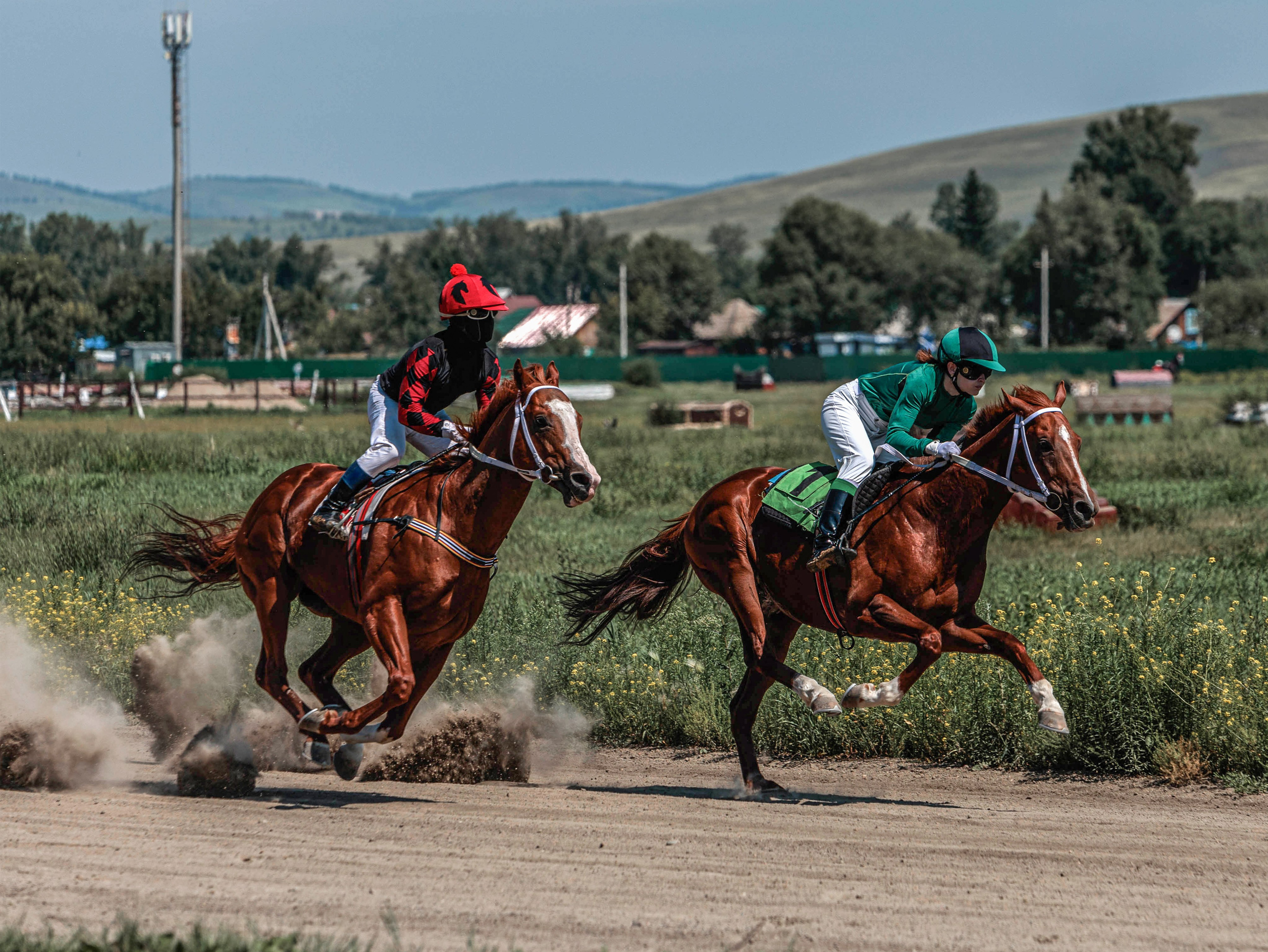 Зарисовки Абаканский ипподром 2025. Конный фотограф в Красноярске — Любовь Похабова