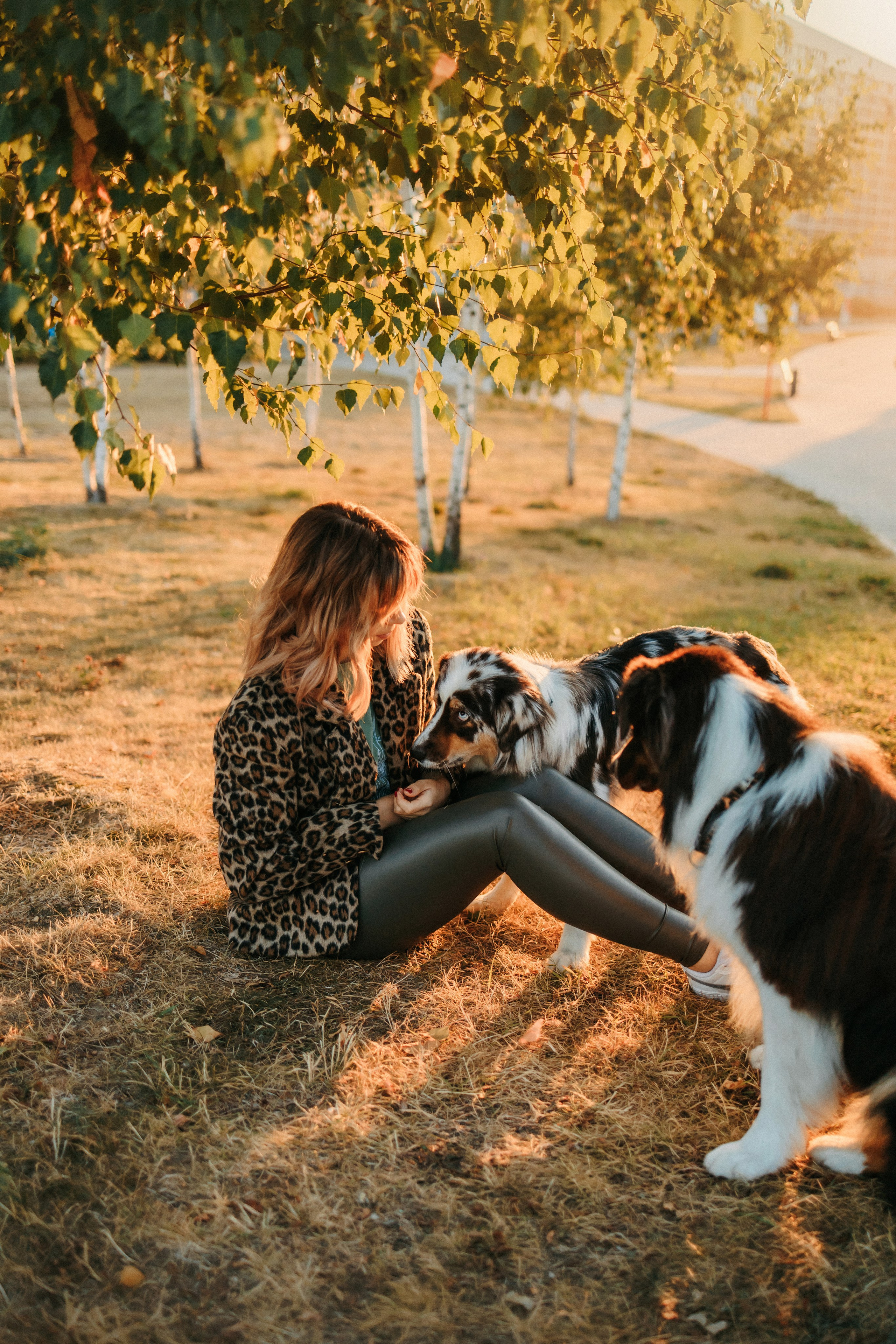 Аня, Чарли и Ева. Фотограф-анималист Елена Радченко, Москва